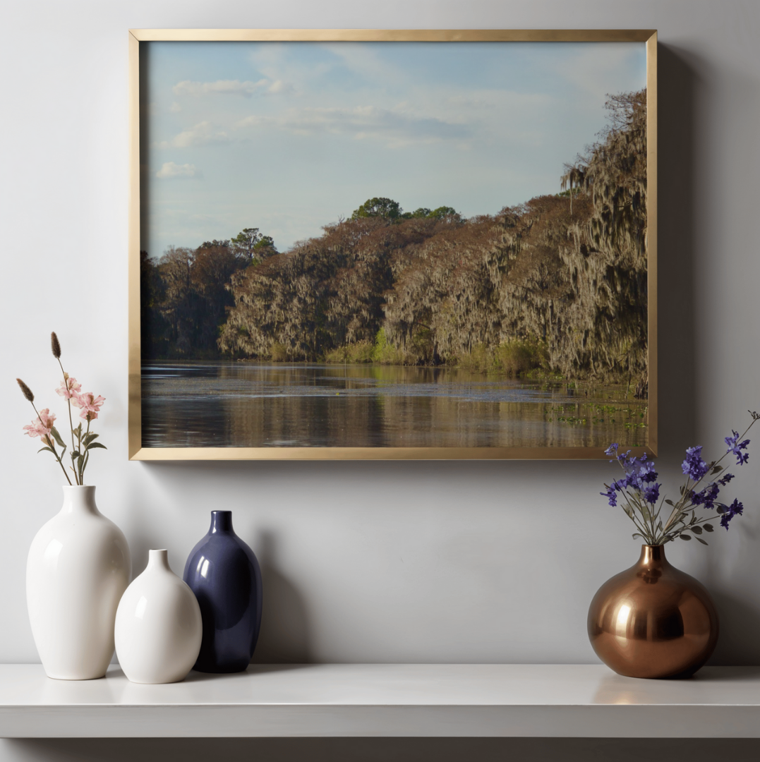 Lake Monroe Shoreline 1.png