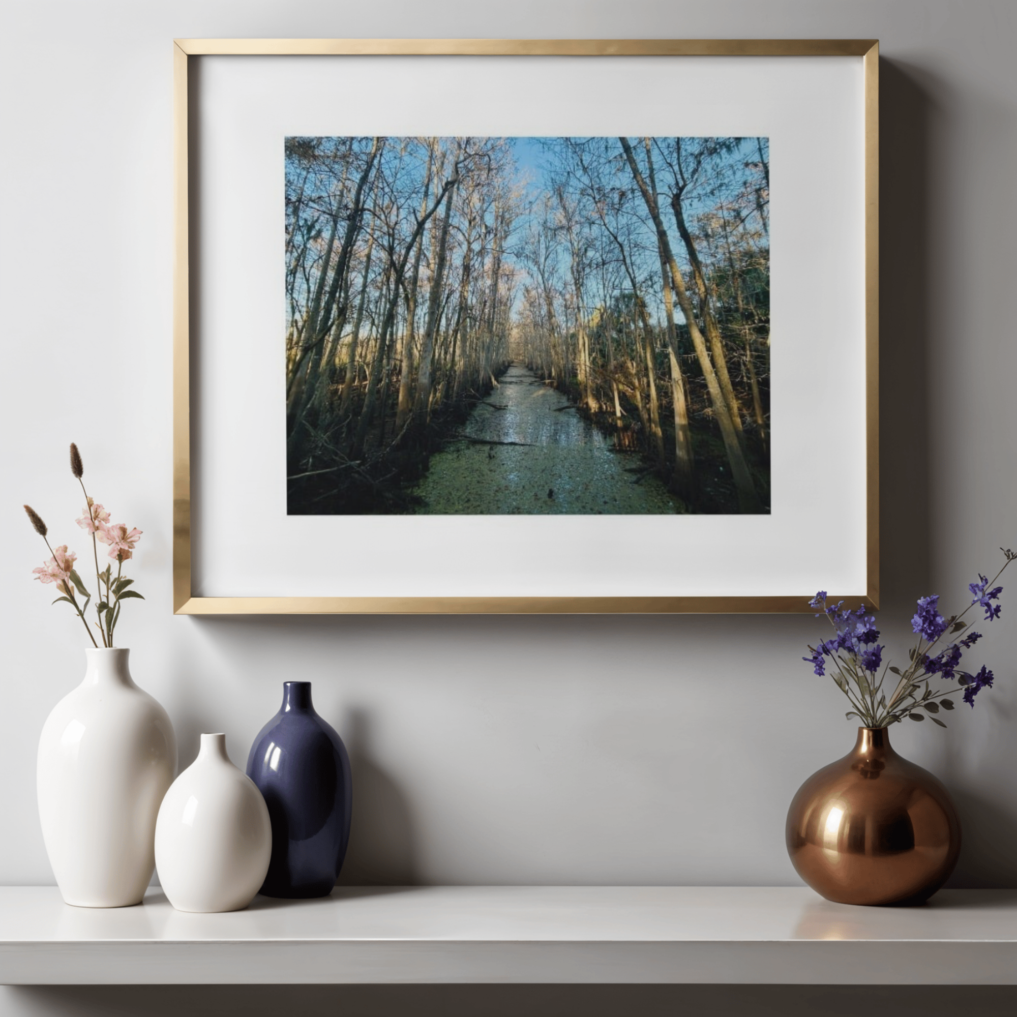 Cypress Corridor | Paper Print - Unframed