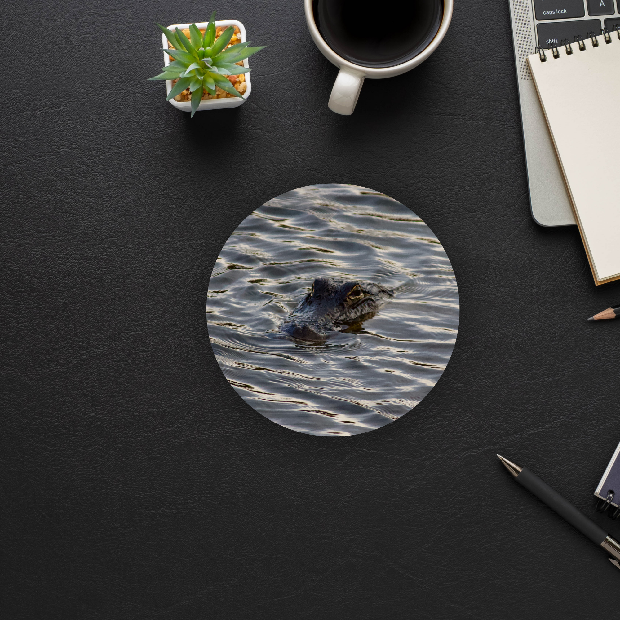 Alligator Coaster Set of 4