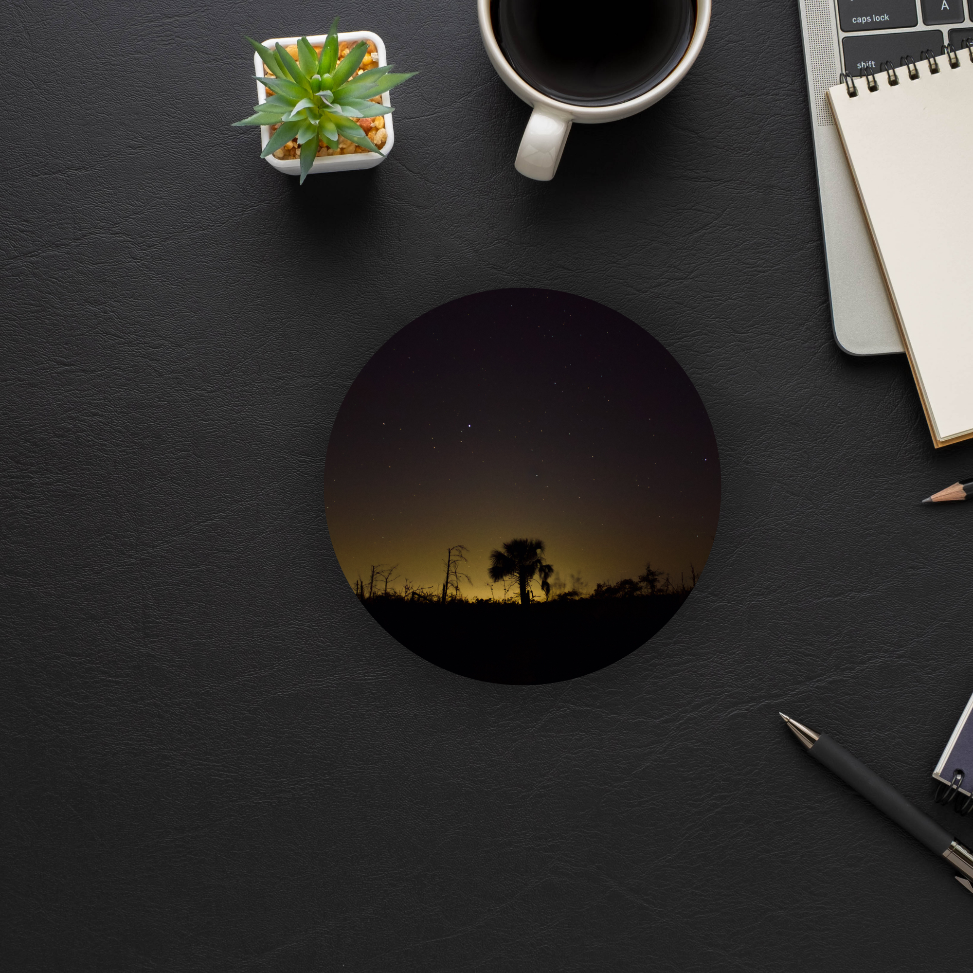 Light Beyond the Palm Coaster Set of 4