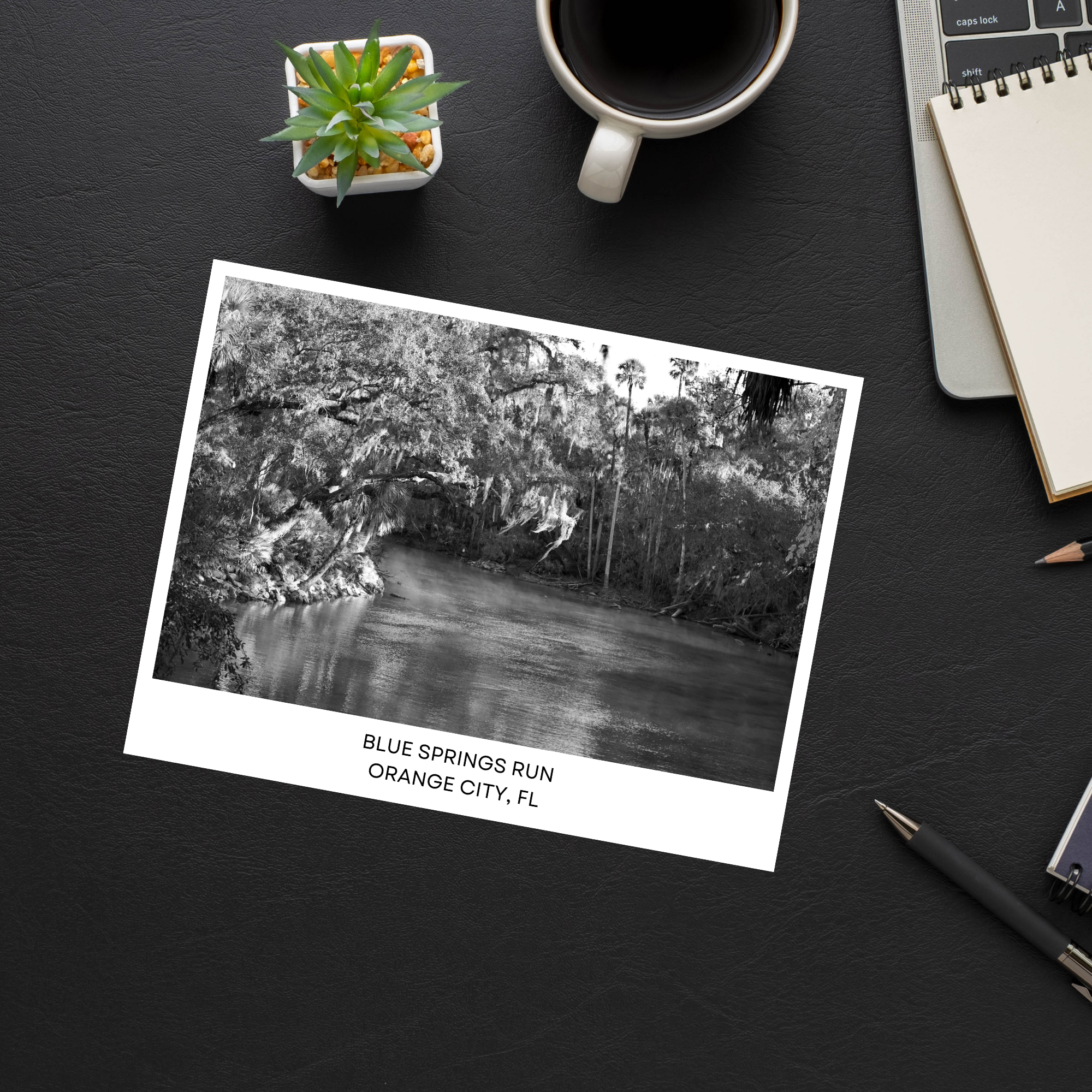 Blue Springs Run Postcard