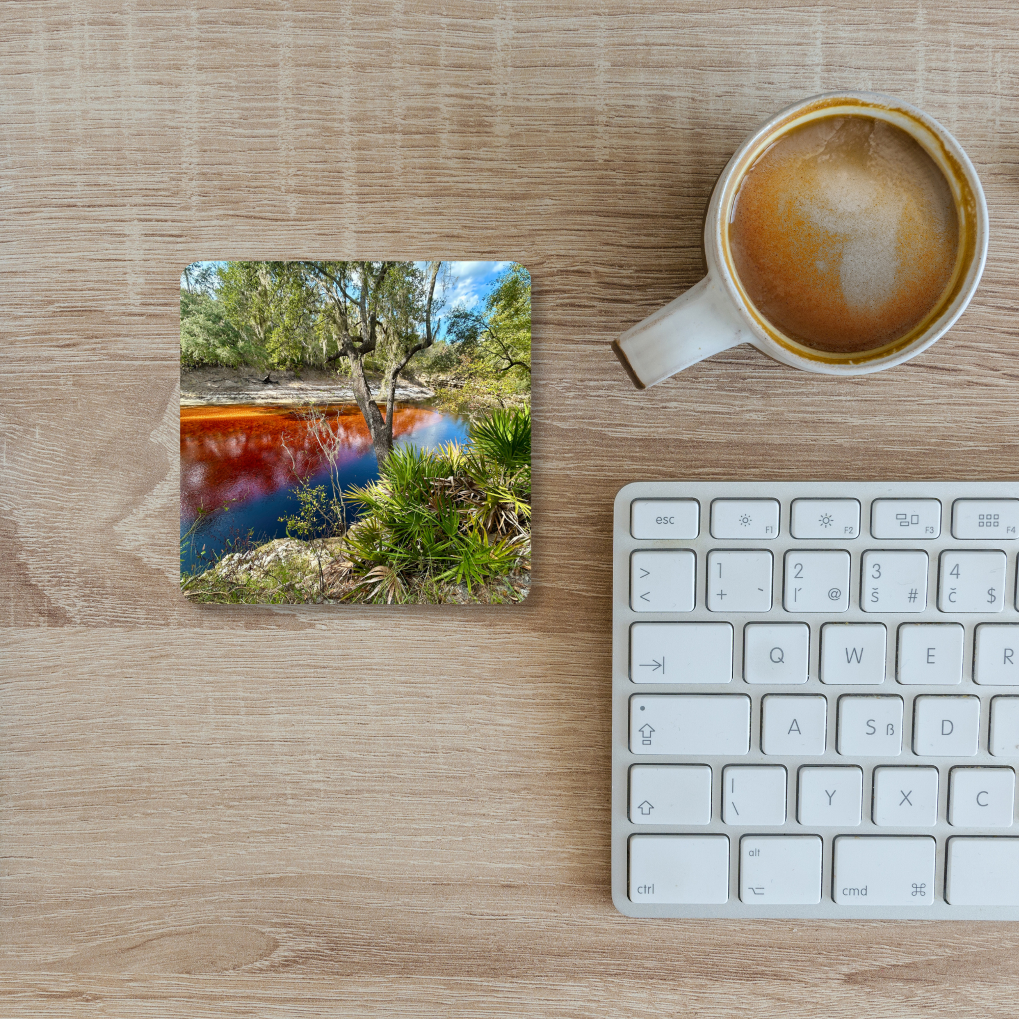 Suwannee River Coaster Set of 4