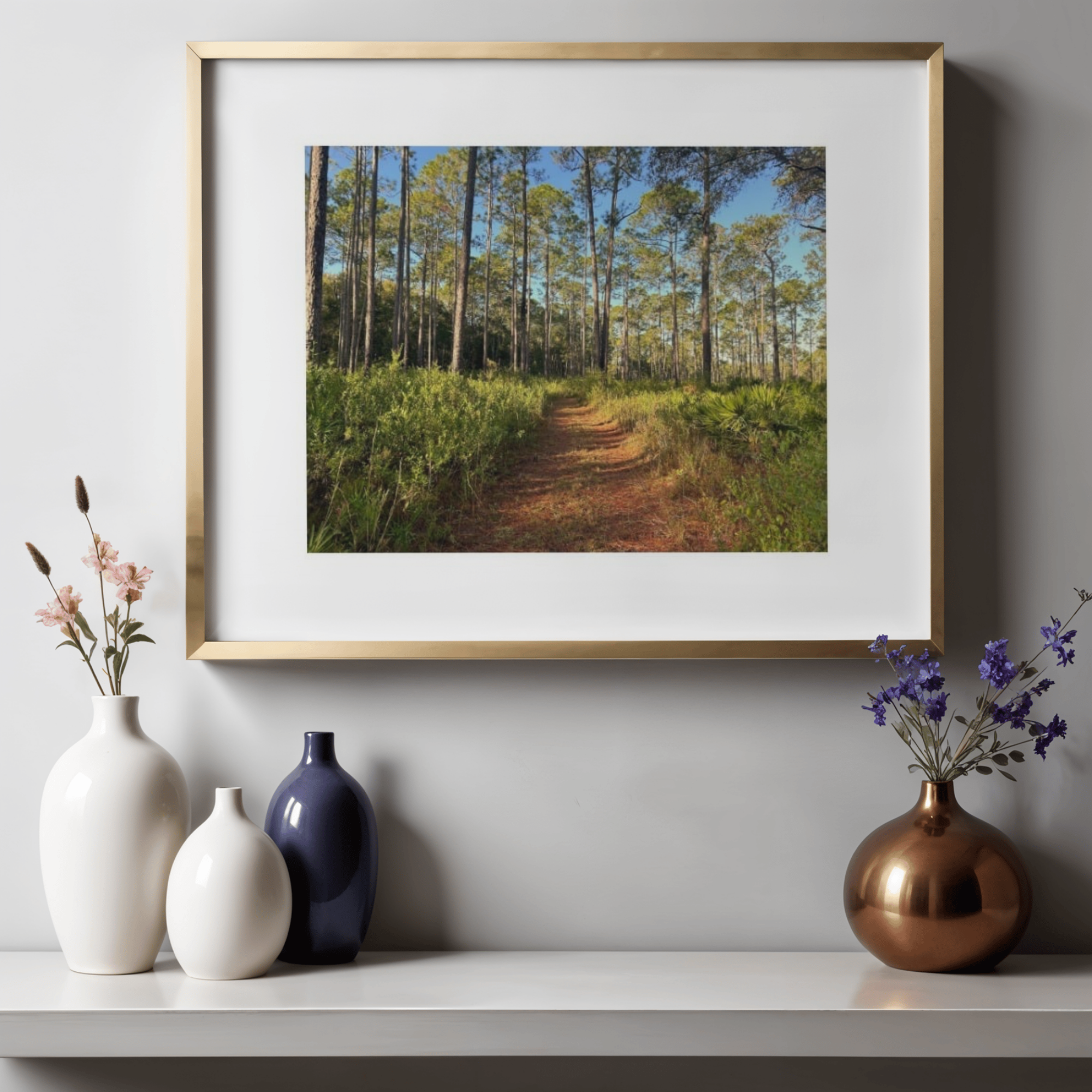 Chacala Pines | Paper Print - Unframed