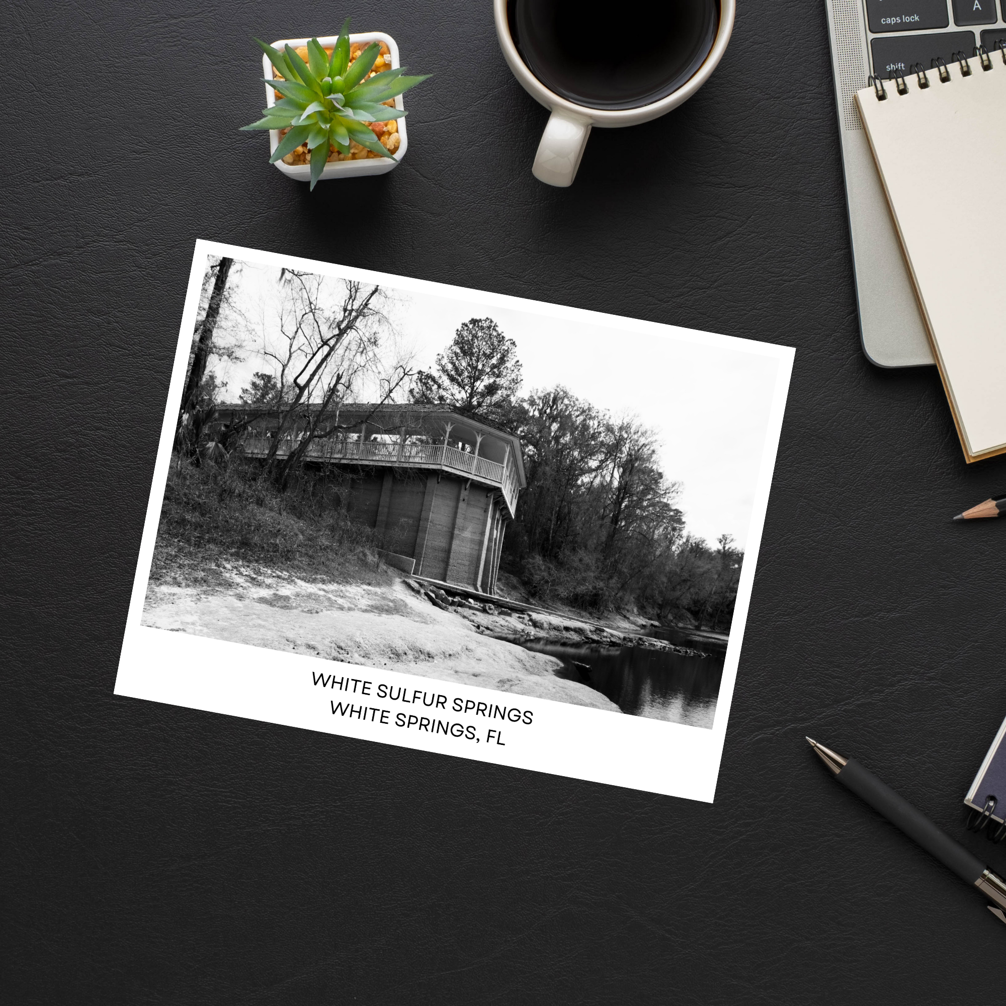 White Sulfur Springs Postcard