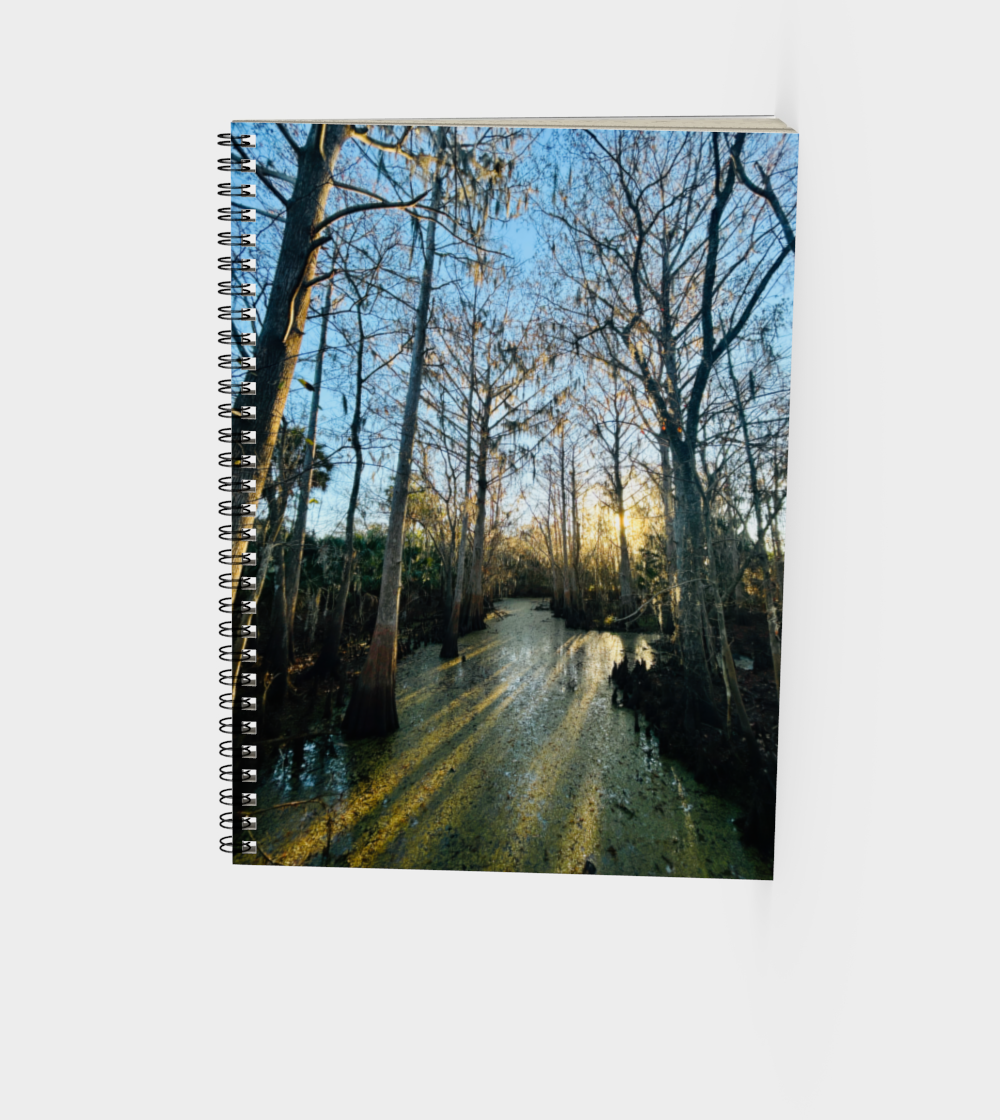 stream