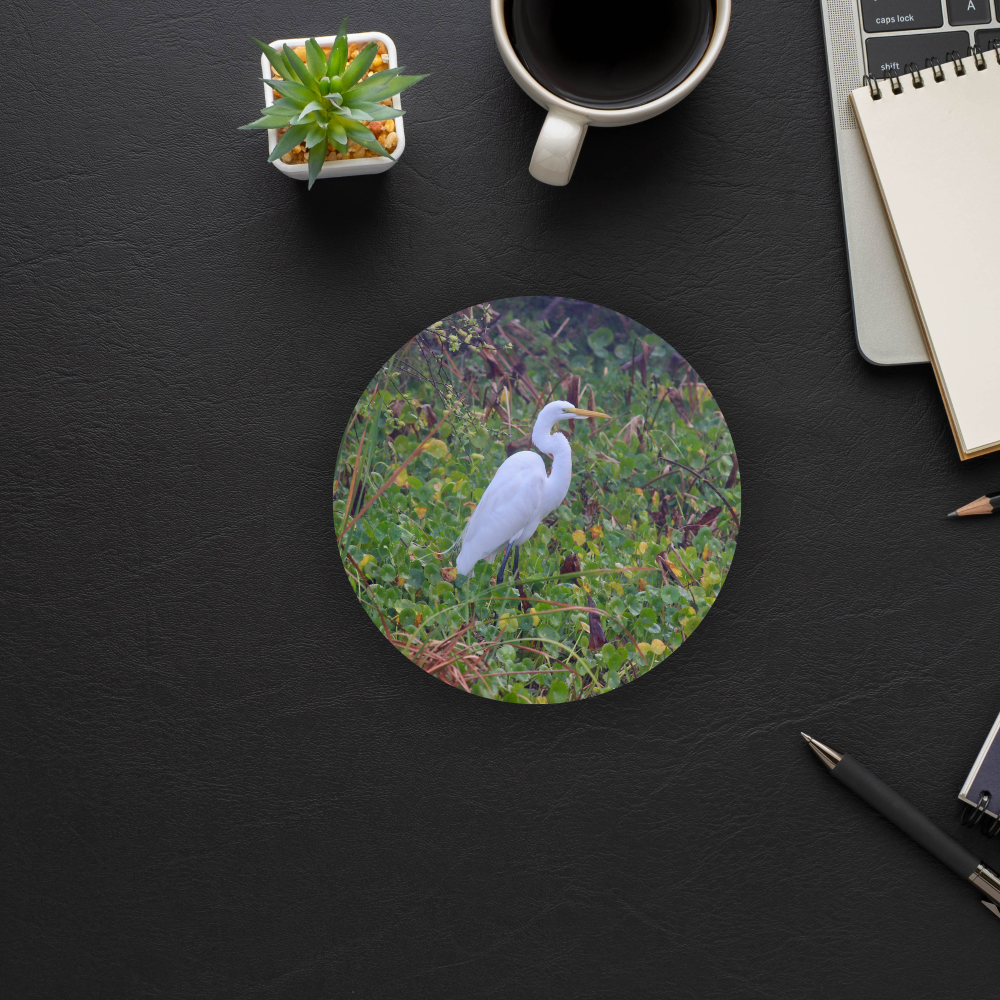 Egret Coaster Set of 4