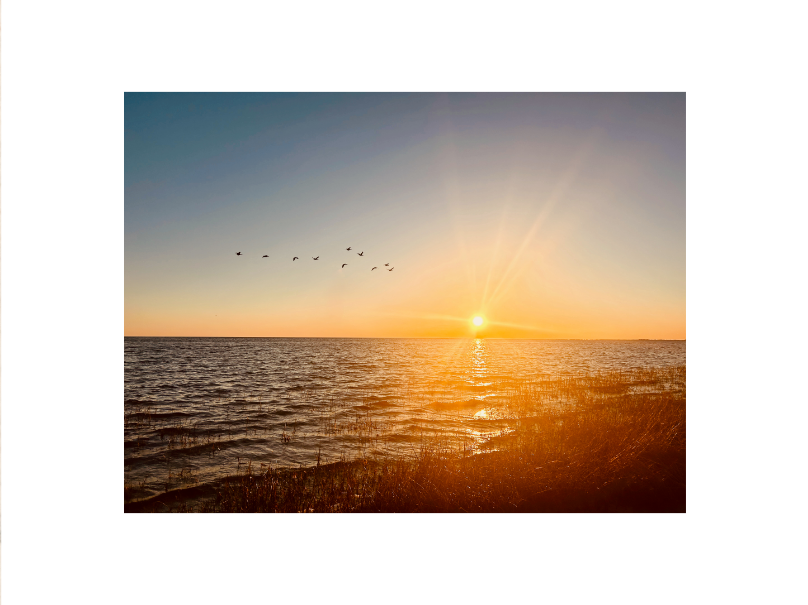 The Send Off White.png