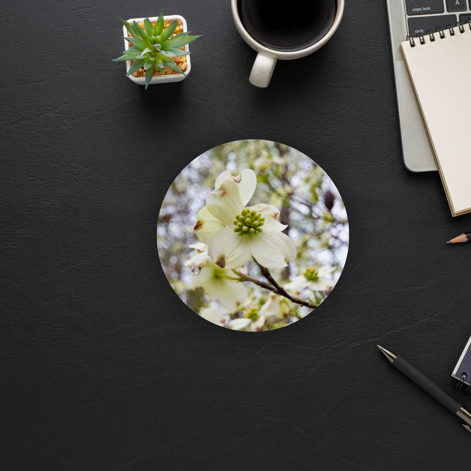 Florida Dogwood Coaster Set of 4