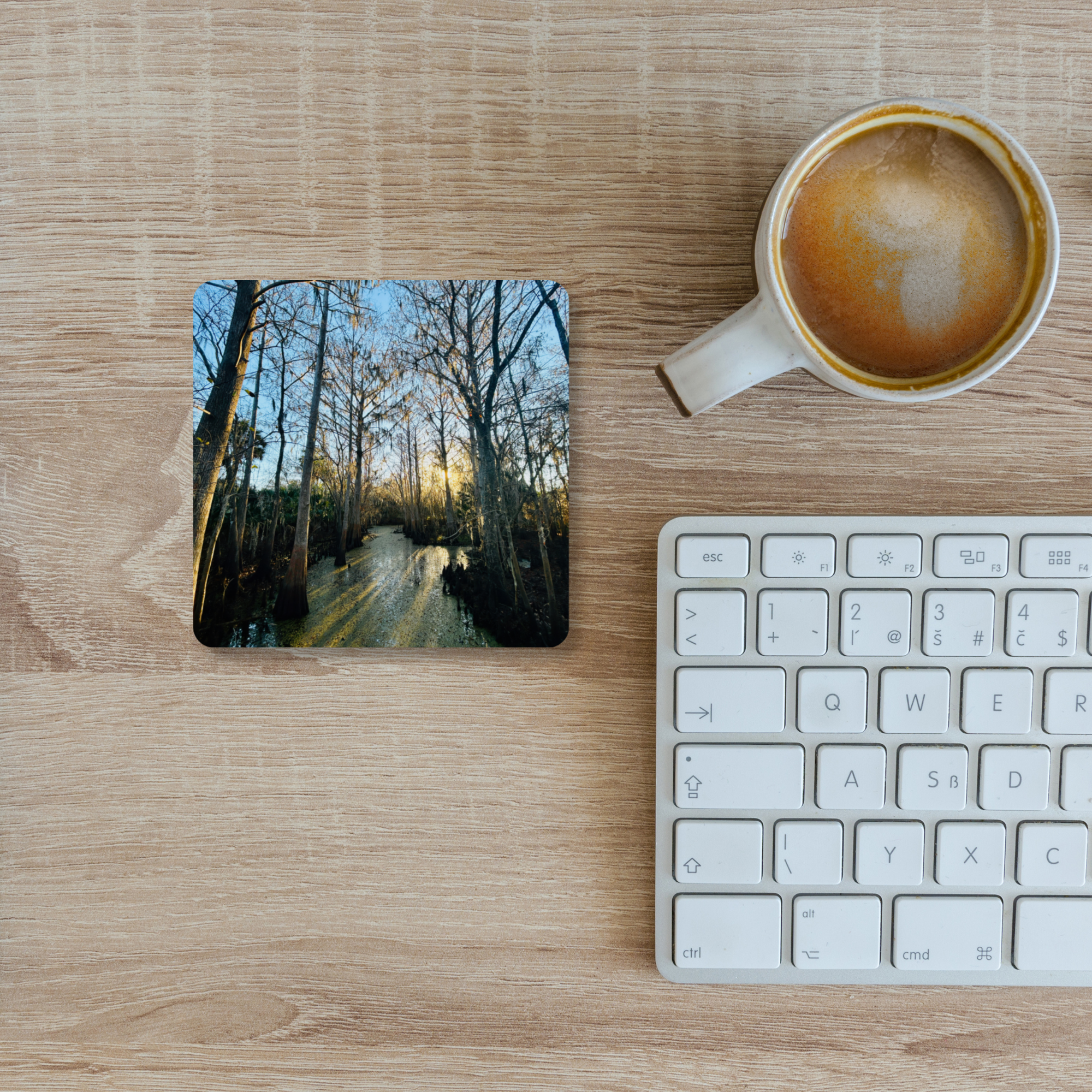Where the Light Lingers Coaster Set of 4