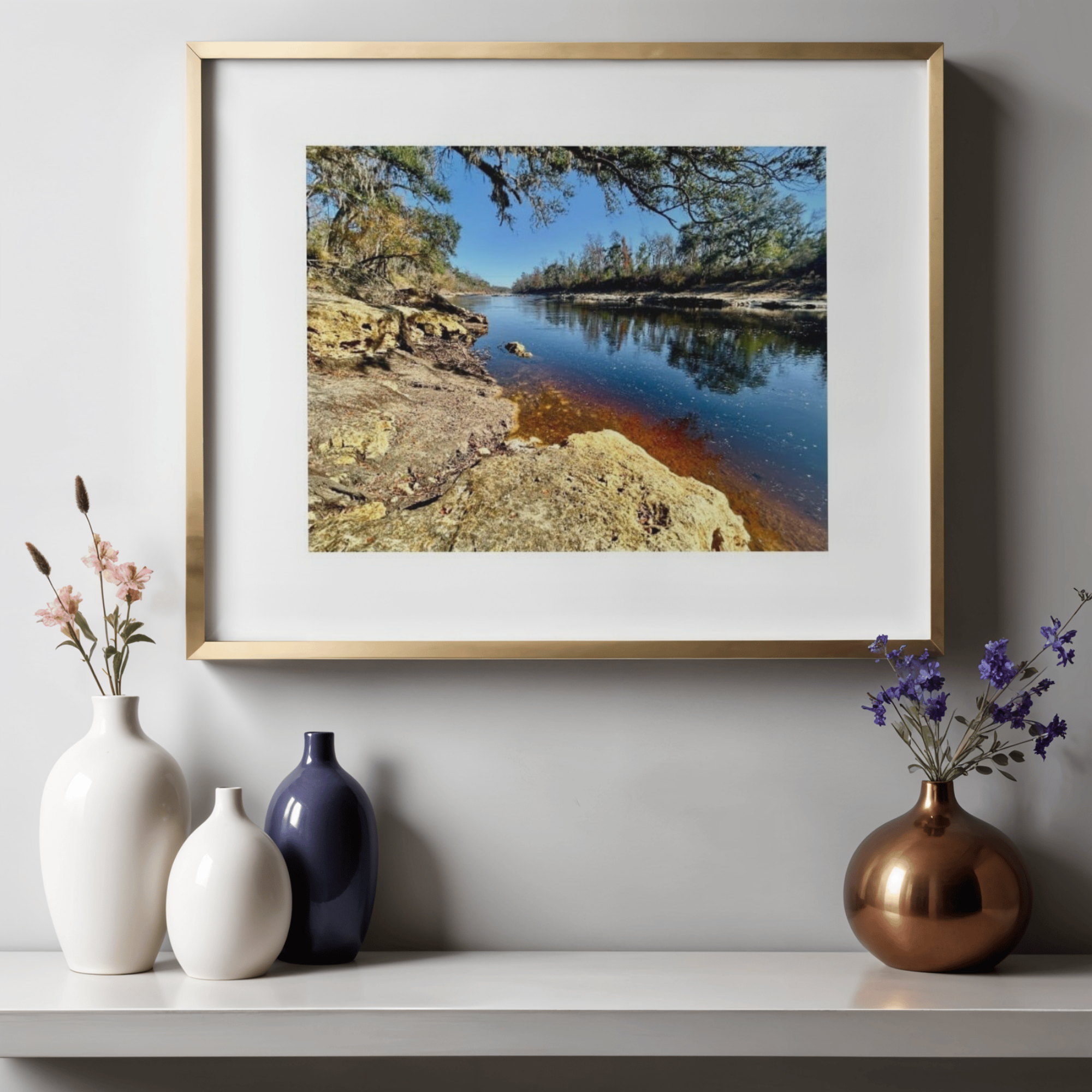 Bank of the Suwannee | Paper Print - Unframed