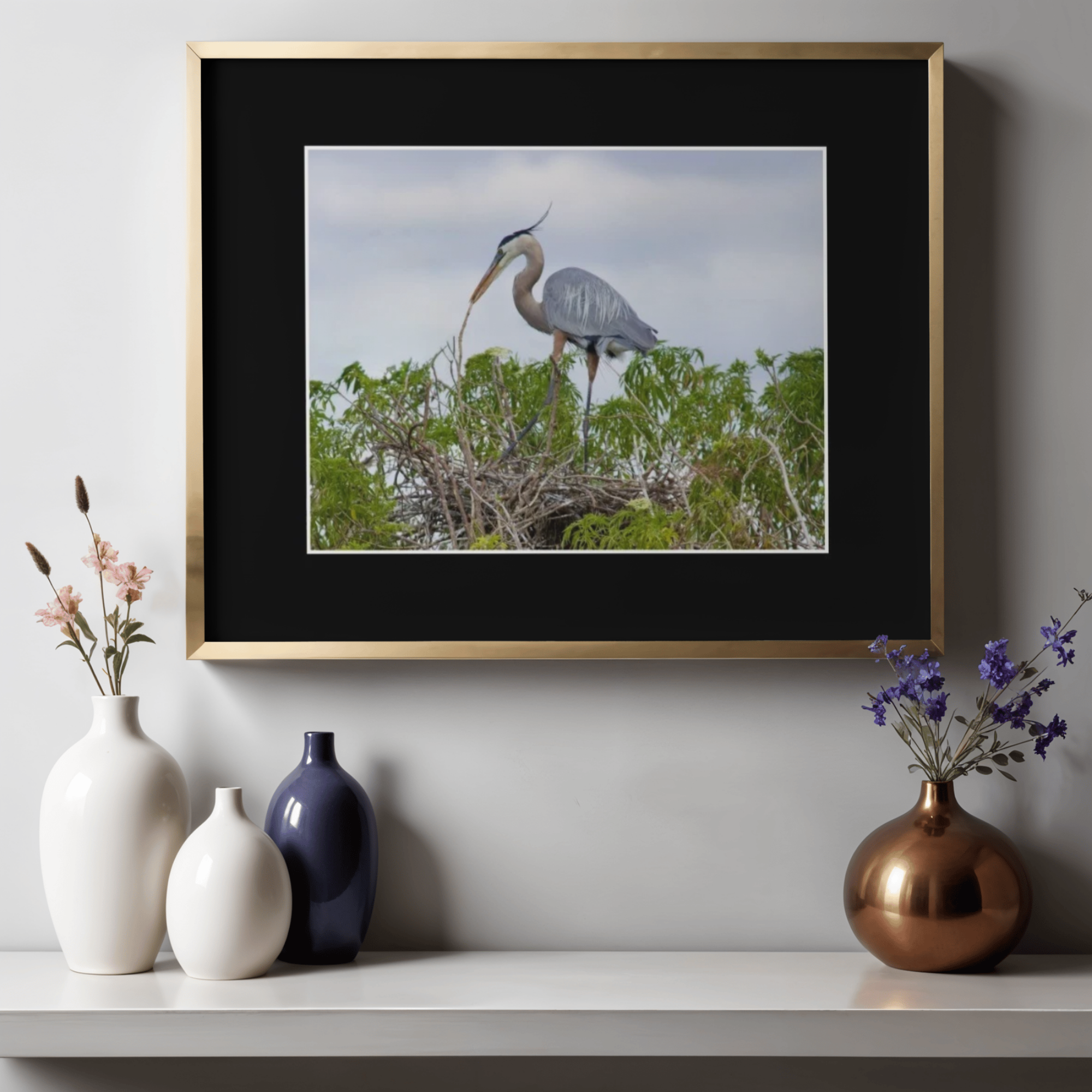 Great Blue Heron Nesting Black Mat.png