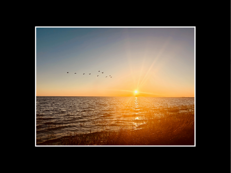 The Send Off Black.png