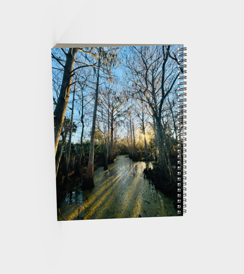 stream