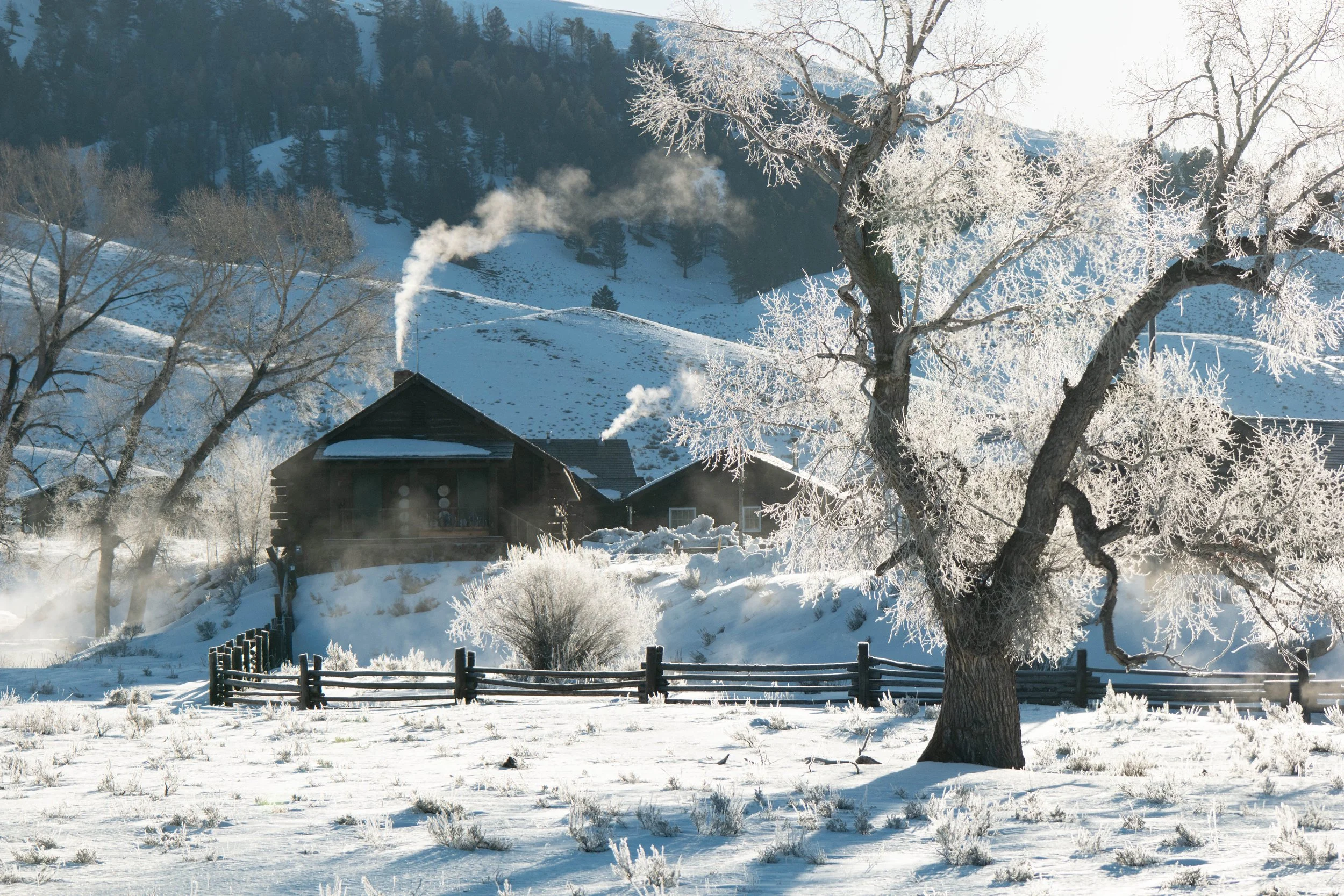 A snowy winter landscape with a wooden house and a large snow-covered tree in the foreground. Steam rises from the house's chimney, and snow-covered hills and trees are visible in the background.
