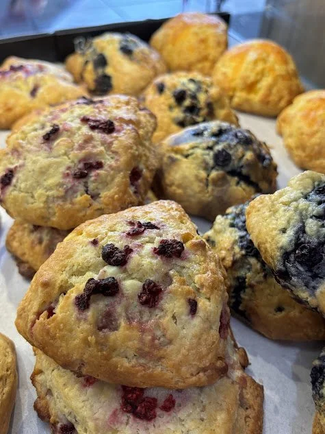 6-Pack of Scones