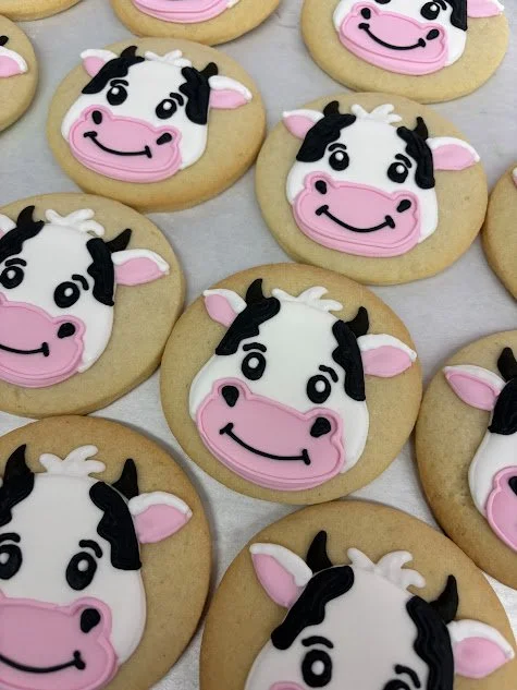 Cookies decorated with cow faces with black and white coloring, pink snouts, and black horns and eyes.