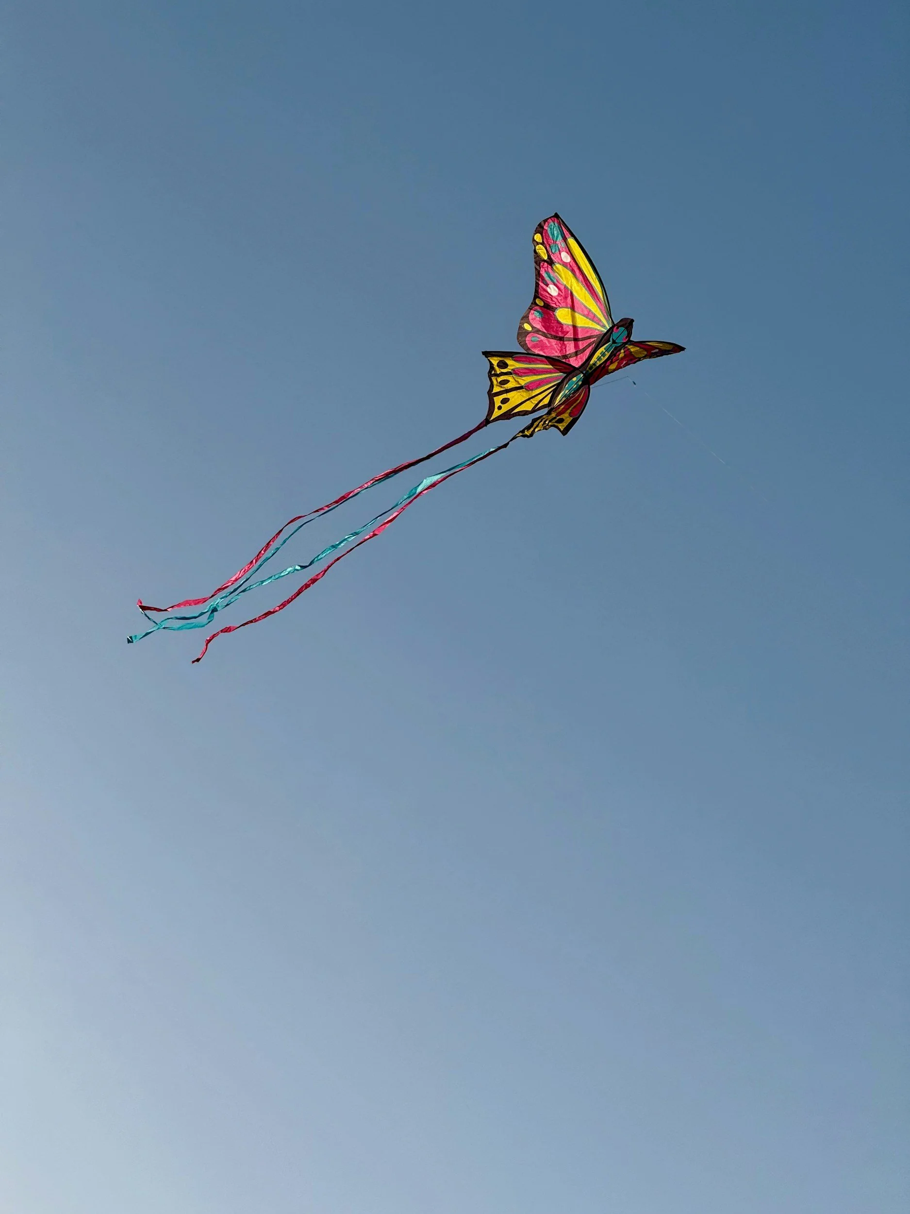 Flying the Kite with spirit