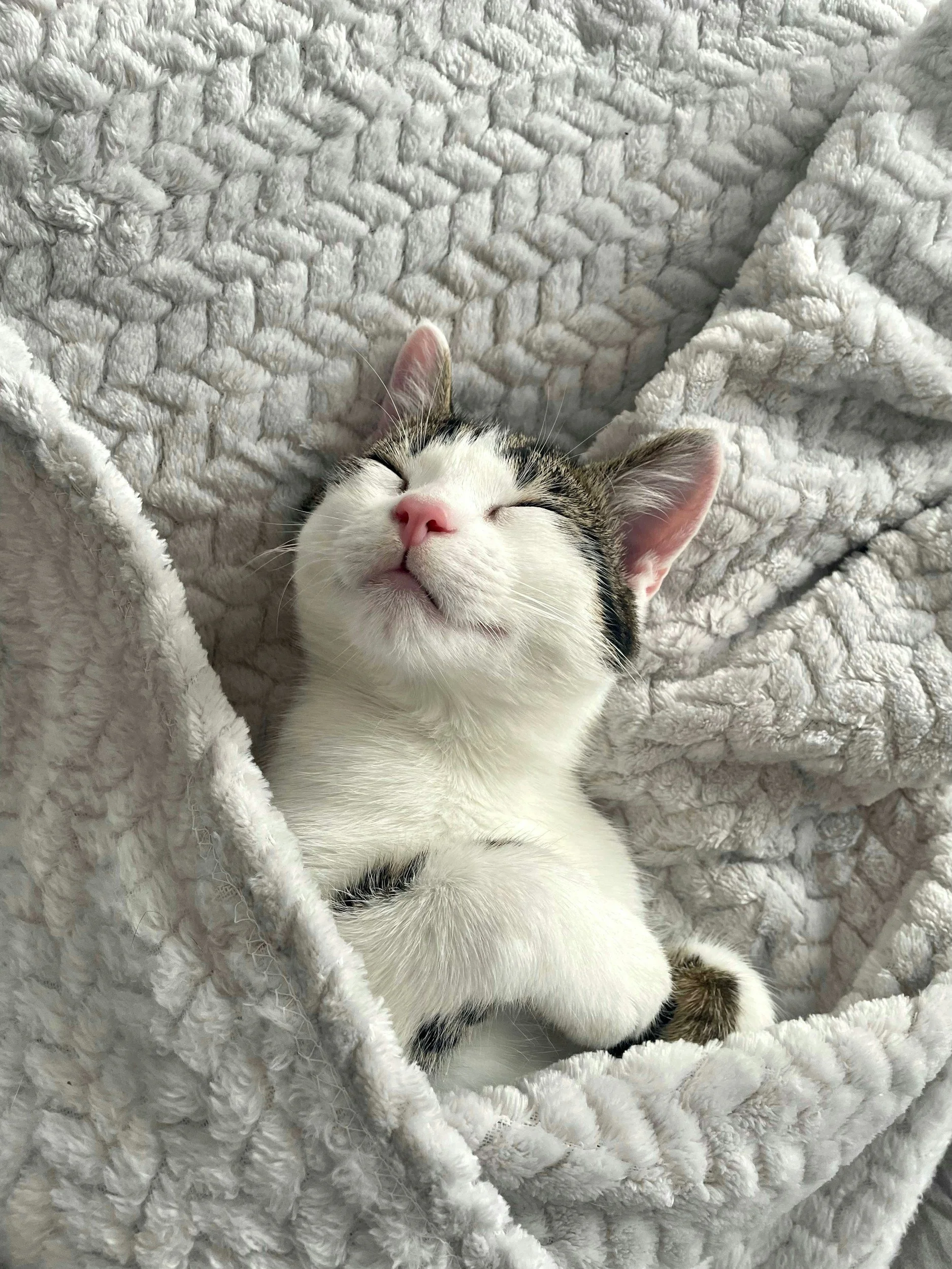 Get Back Into Bed - you’re healing