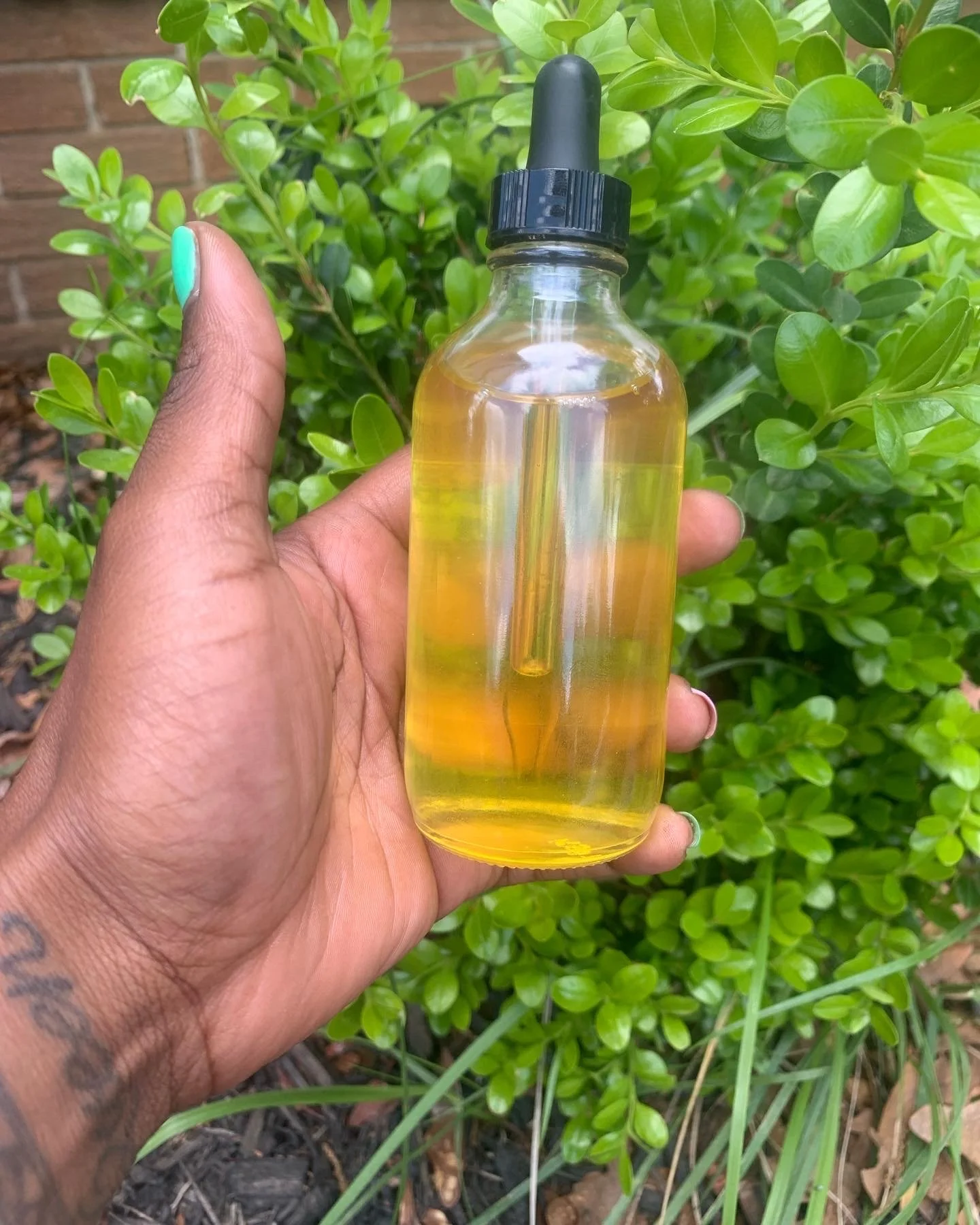 Sea Moss Root Oil