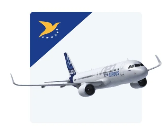 Illustration of an Airbus A320 airplane with airline branding, flying in front of a logo with a stylized bird and stars.