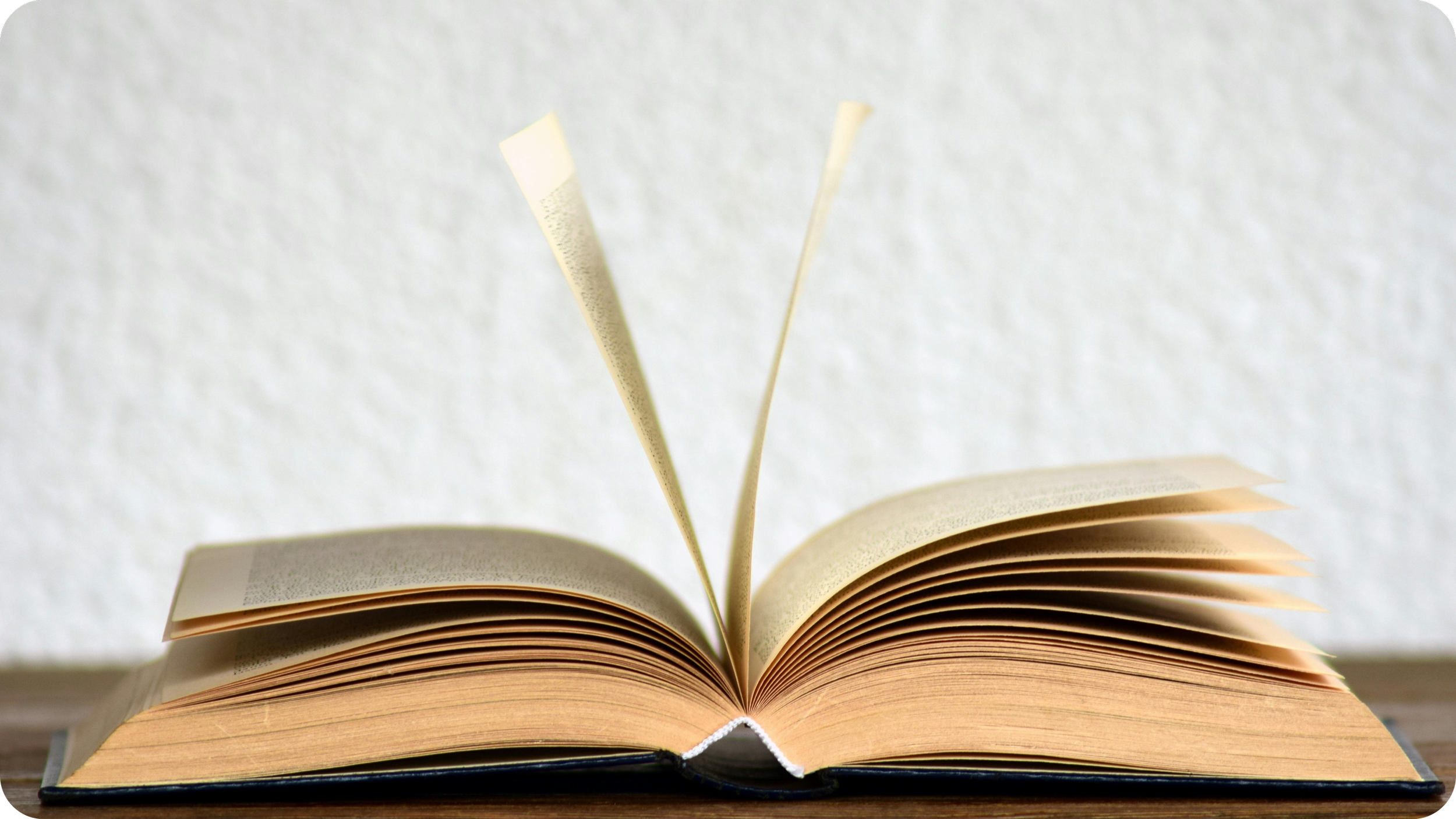 Open paperback book with pages lifted, set against a plain background.