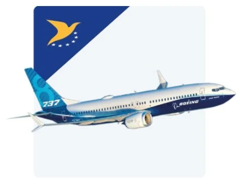 Illustration of a Boeing 737 airplane flying near a Missouri state flag in the sky.
