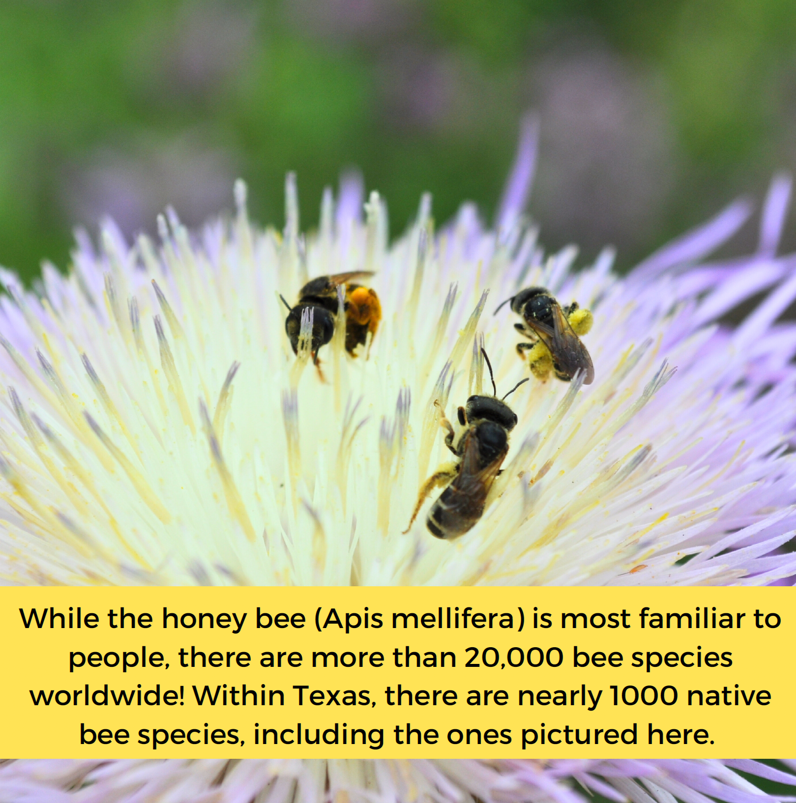 Screenshot+2026-06-08+at+9.14.30%E2%80%AFPM.png