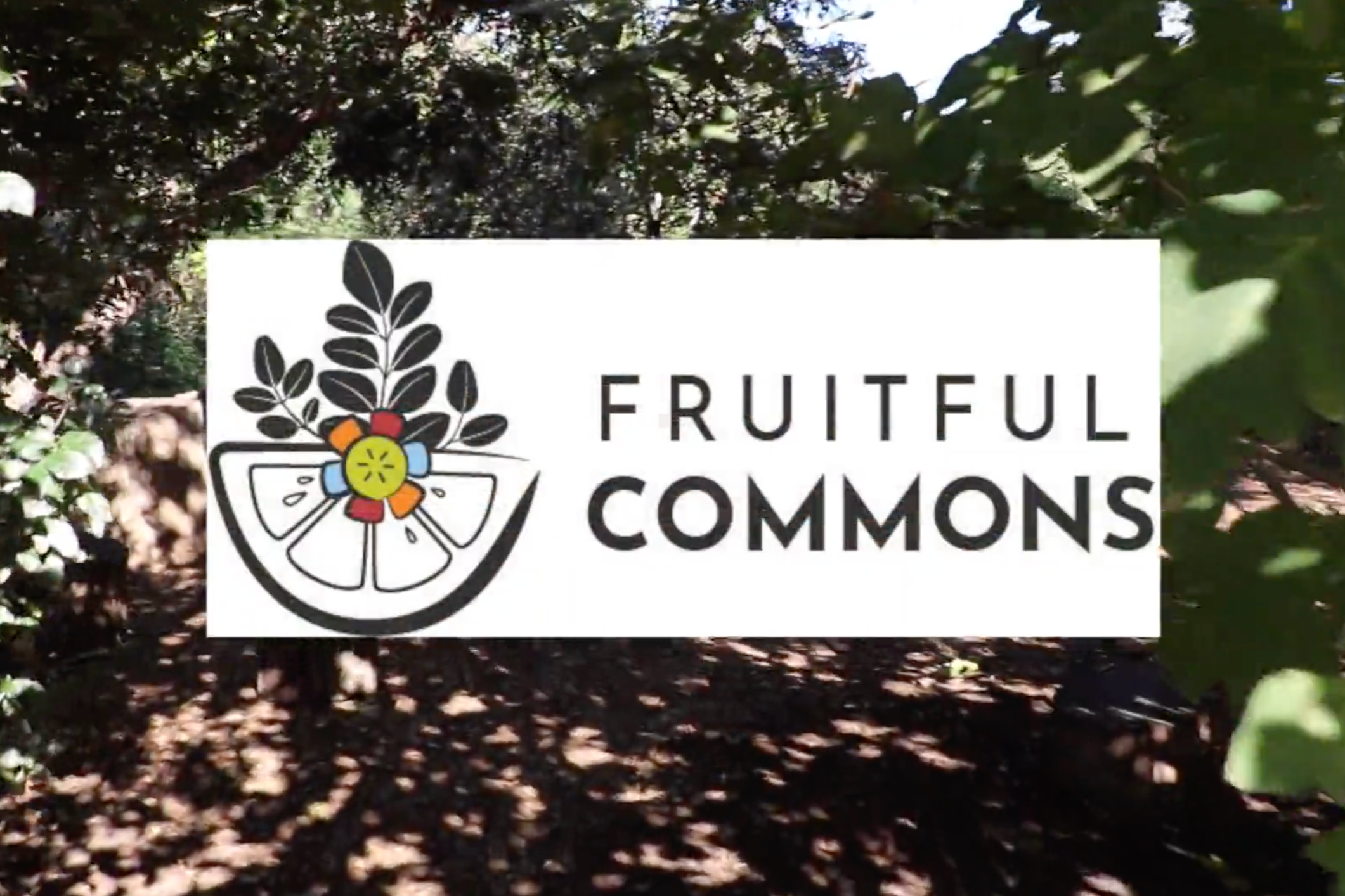 Nonprofit: Fruitful Commons (freelance)