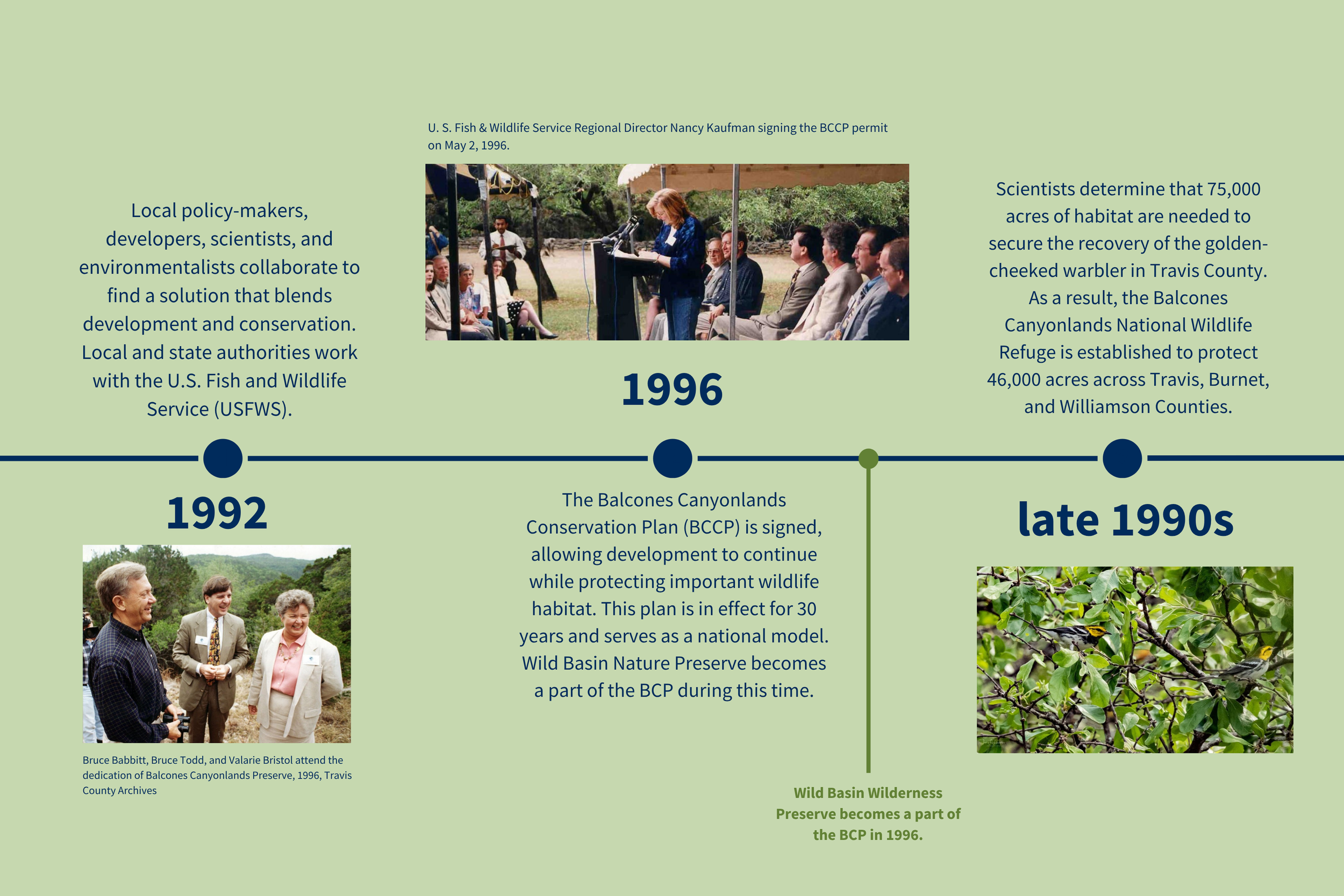 Final Timeline  copy 3.pdf.png