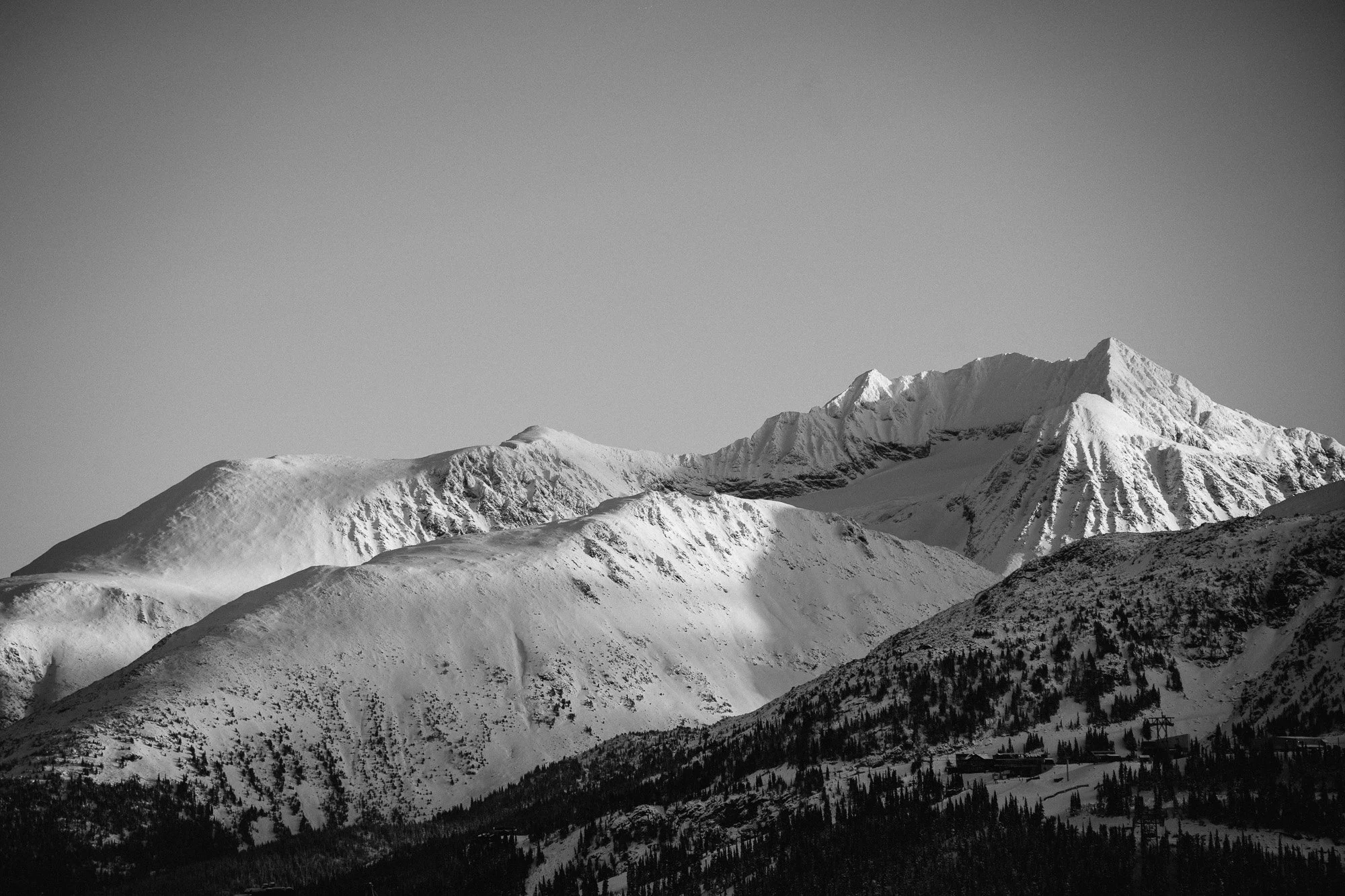 KS-7384.jpg