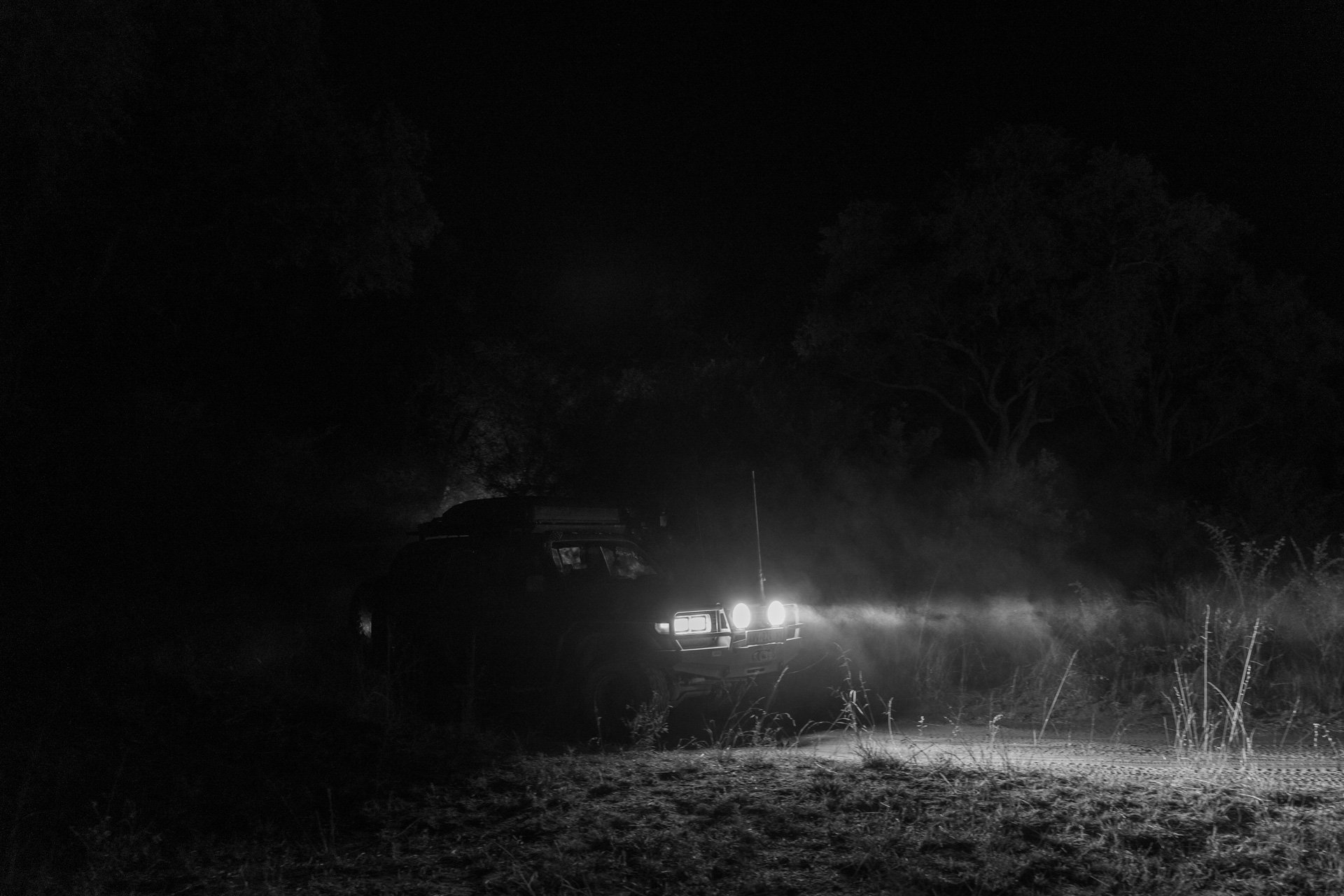 KS_07034.jpg