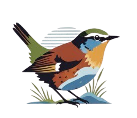 RiverWren Public Relations