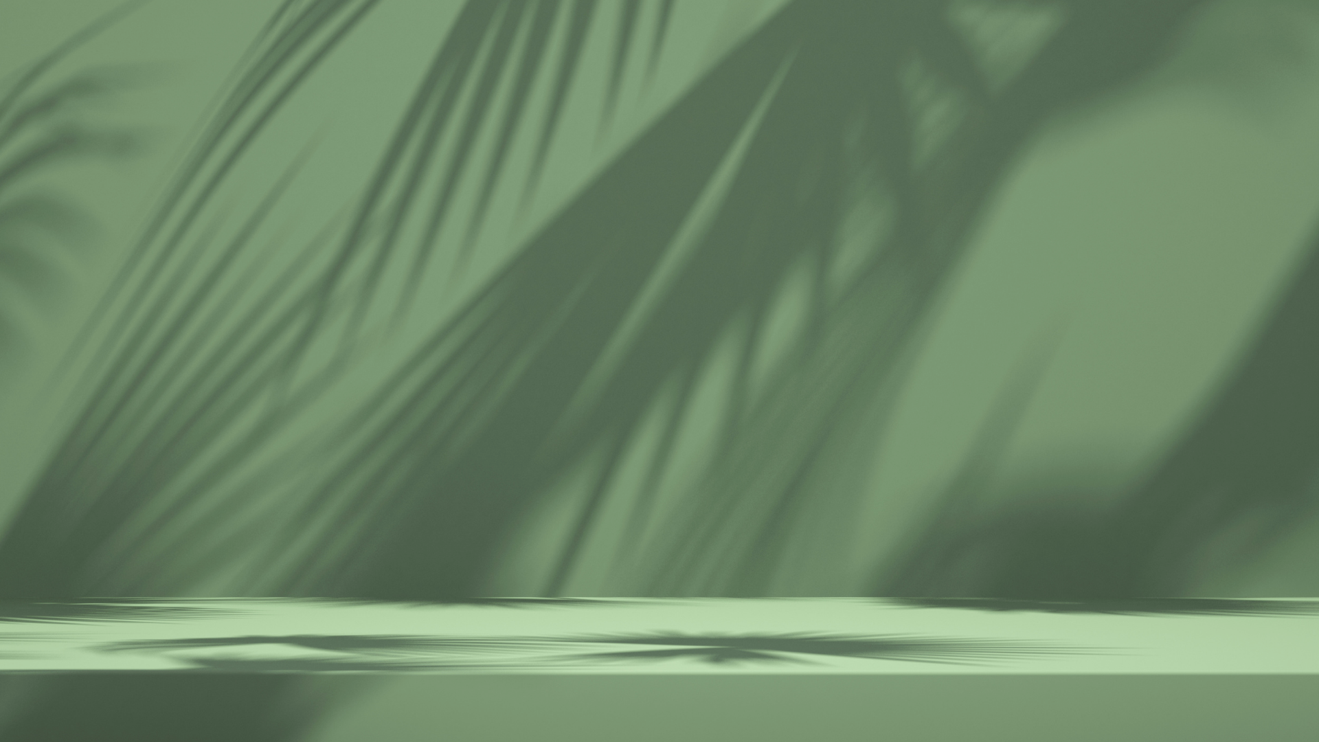 Close-up of green palm leaves with soft shadows on the surface below.