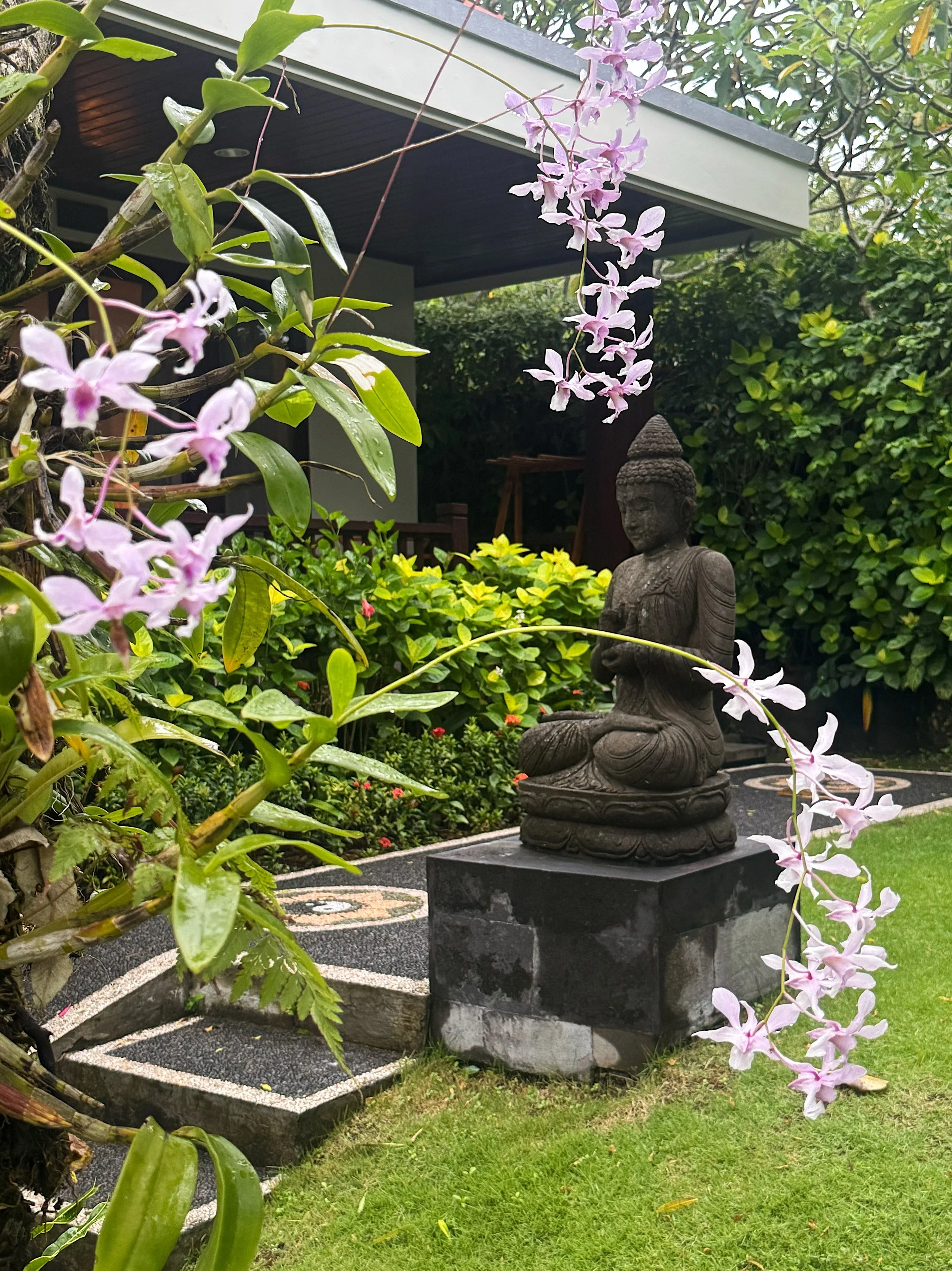 A garden scene with a stone Buddha statue on a pedestal, surrounded by lush green plants and pink orchids hanging down in the foreground.