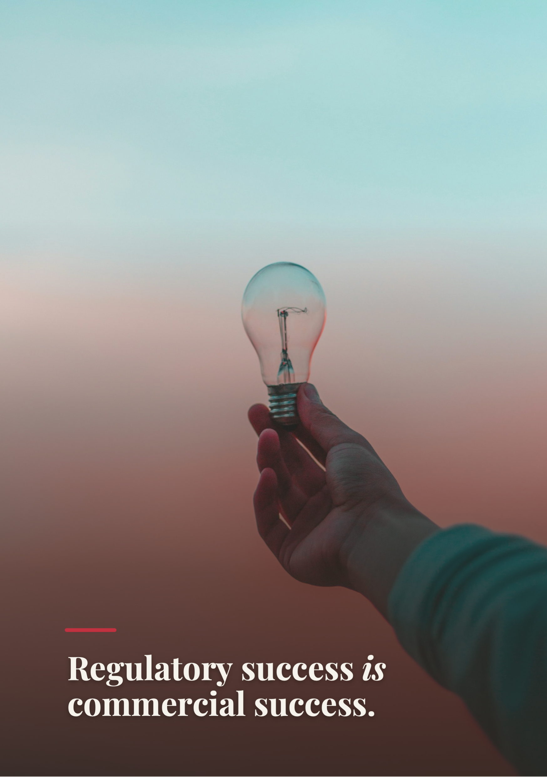 Hand holding a light bulb against a gradient sky background, with a motivational quote about regulatory success and commercial success.