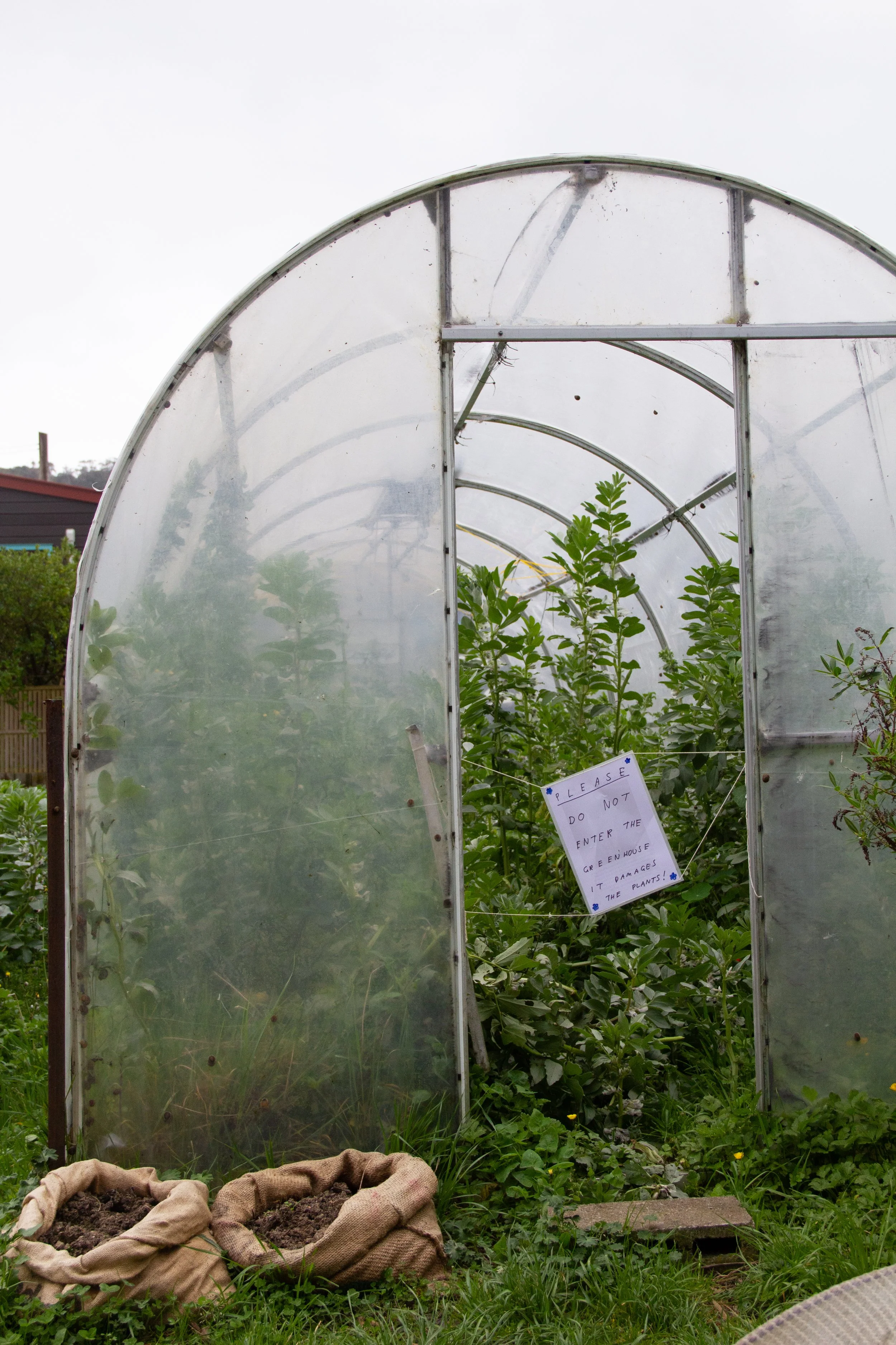 No enter green house.jpg