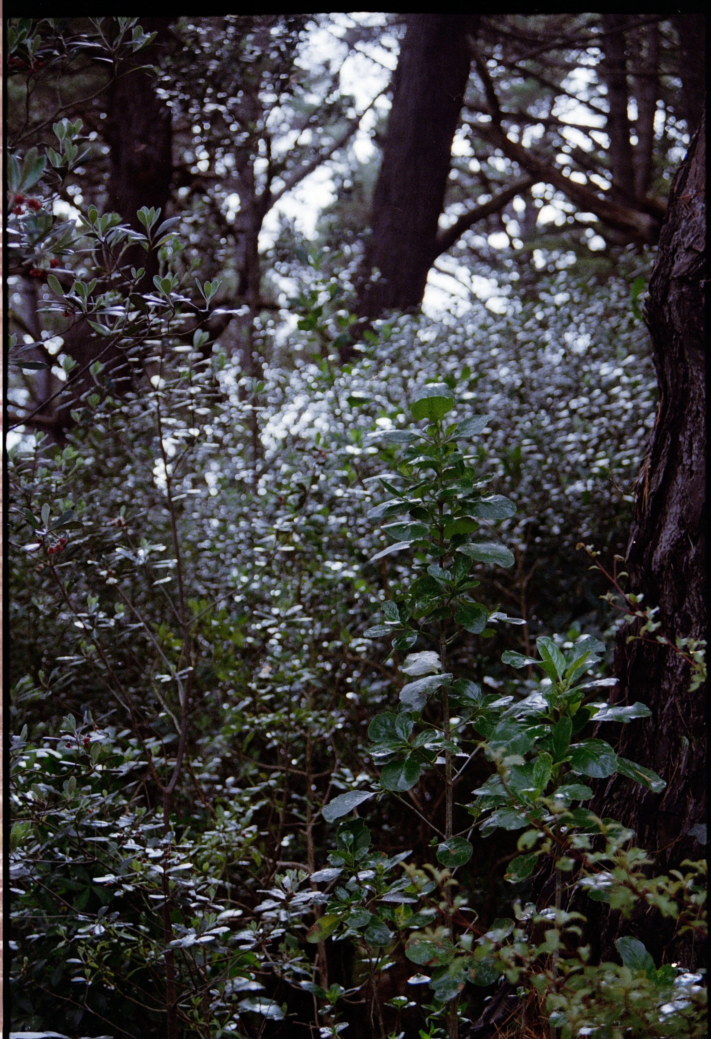 Untitled (3) (2).jpg