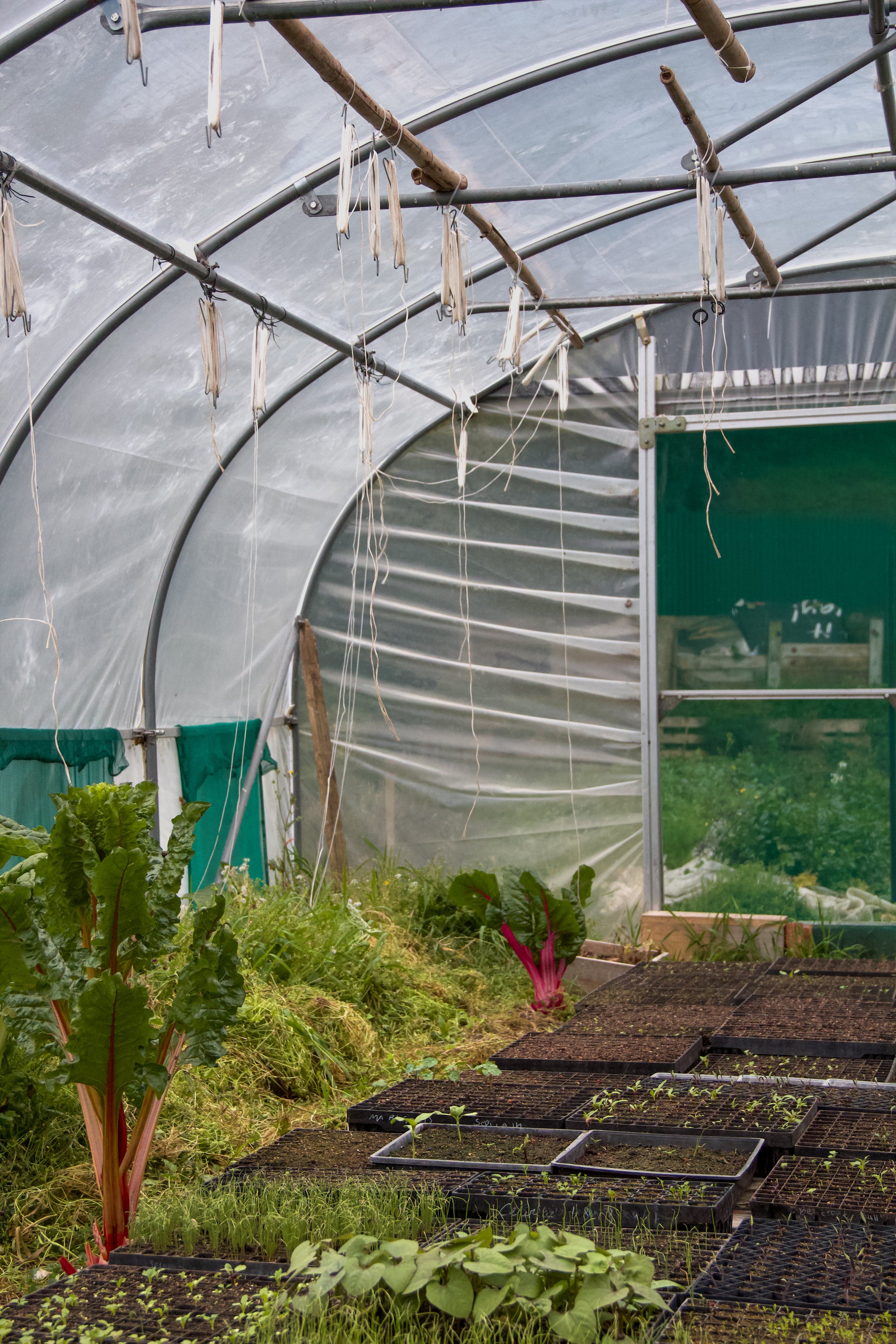 Koha fianl images-30.jpg