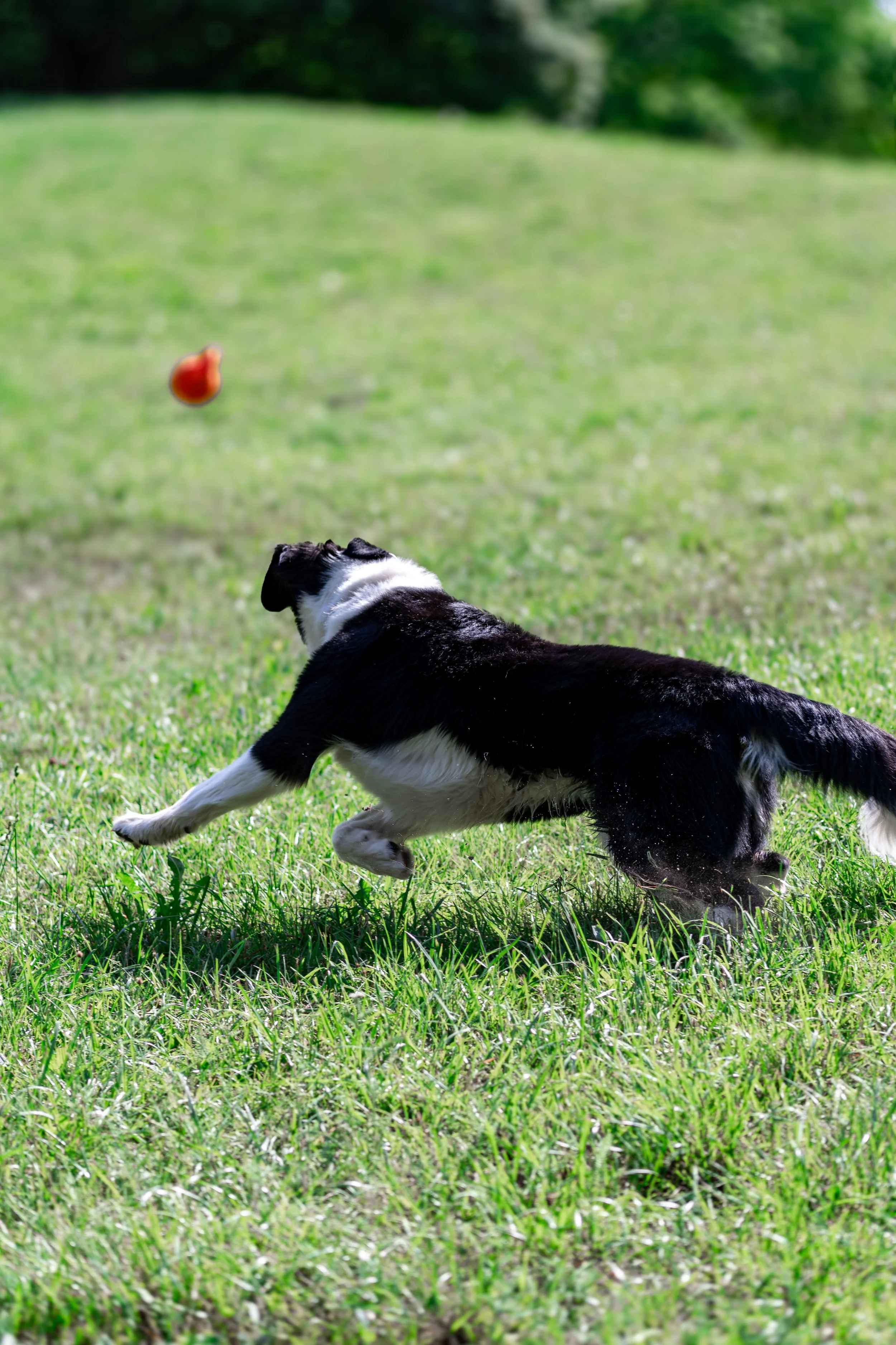 DSC04774.jpg