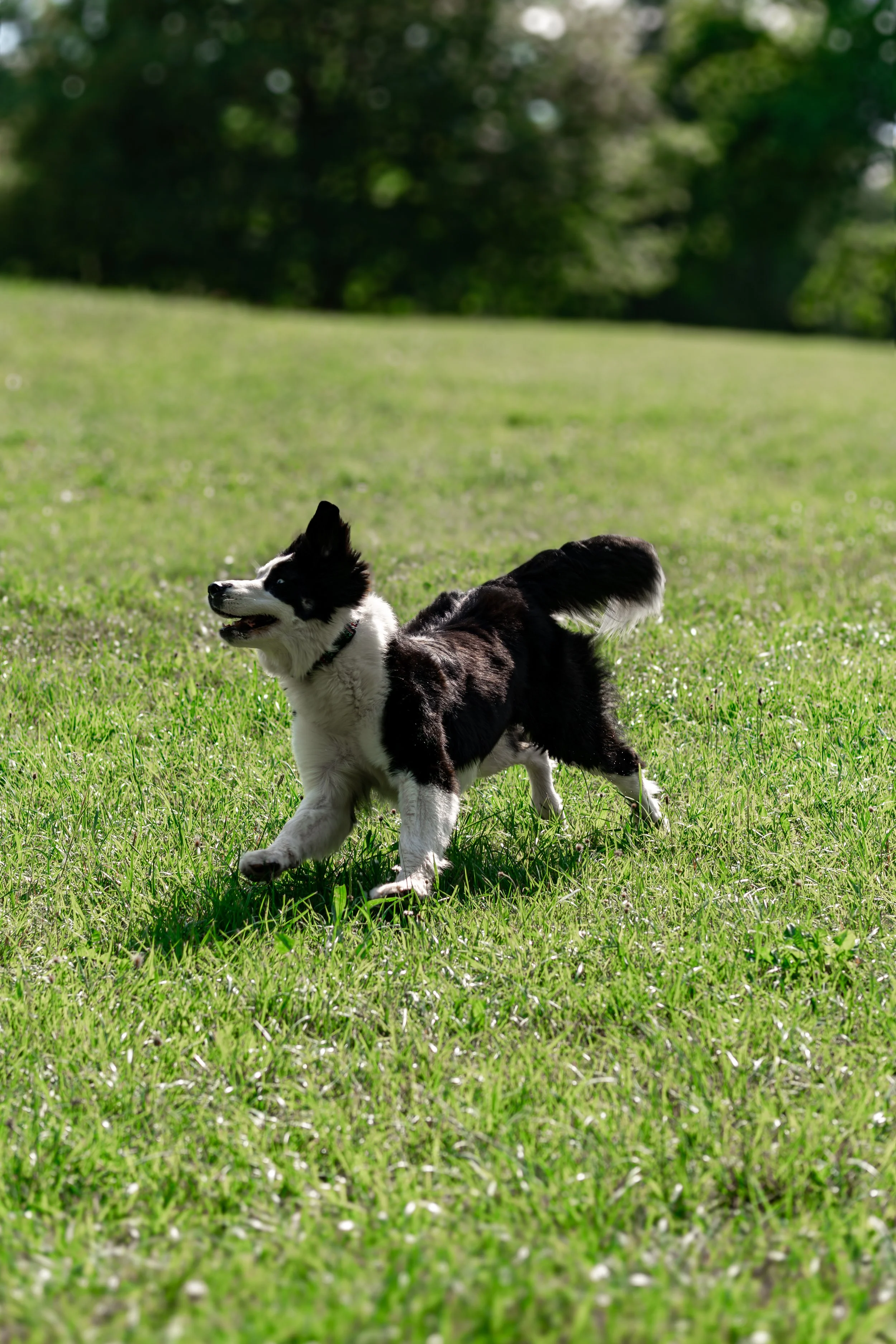 DSC04773.jpg