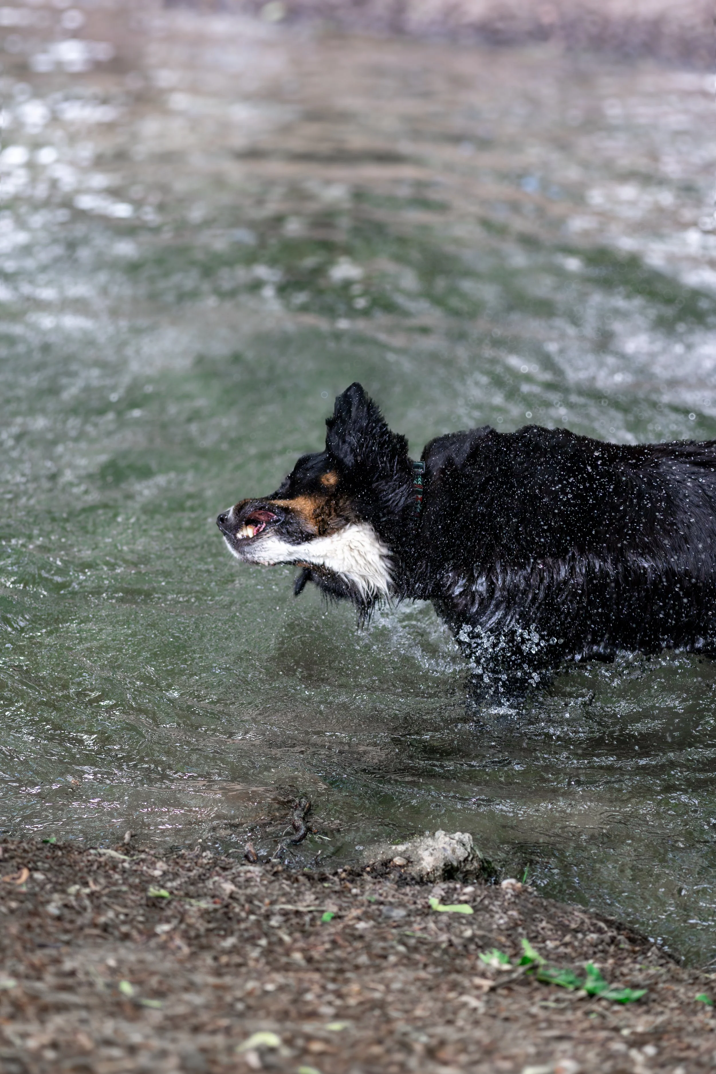 DSC04895.jpg