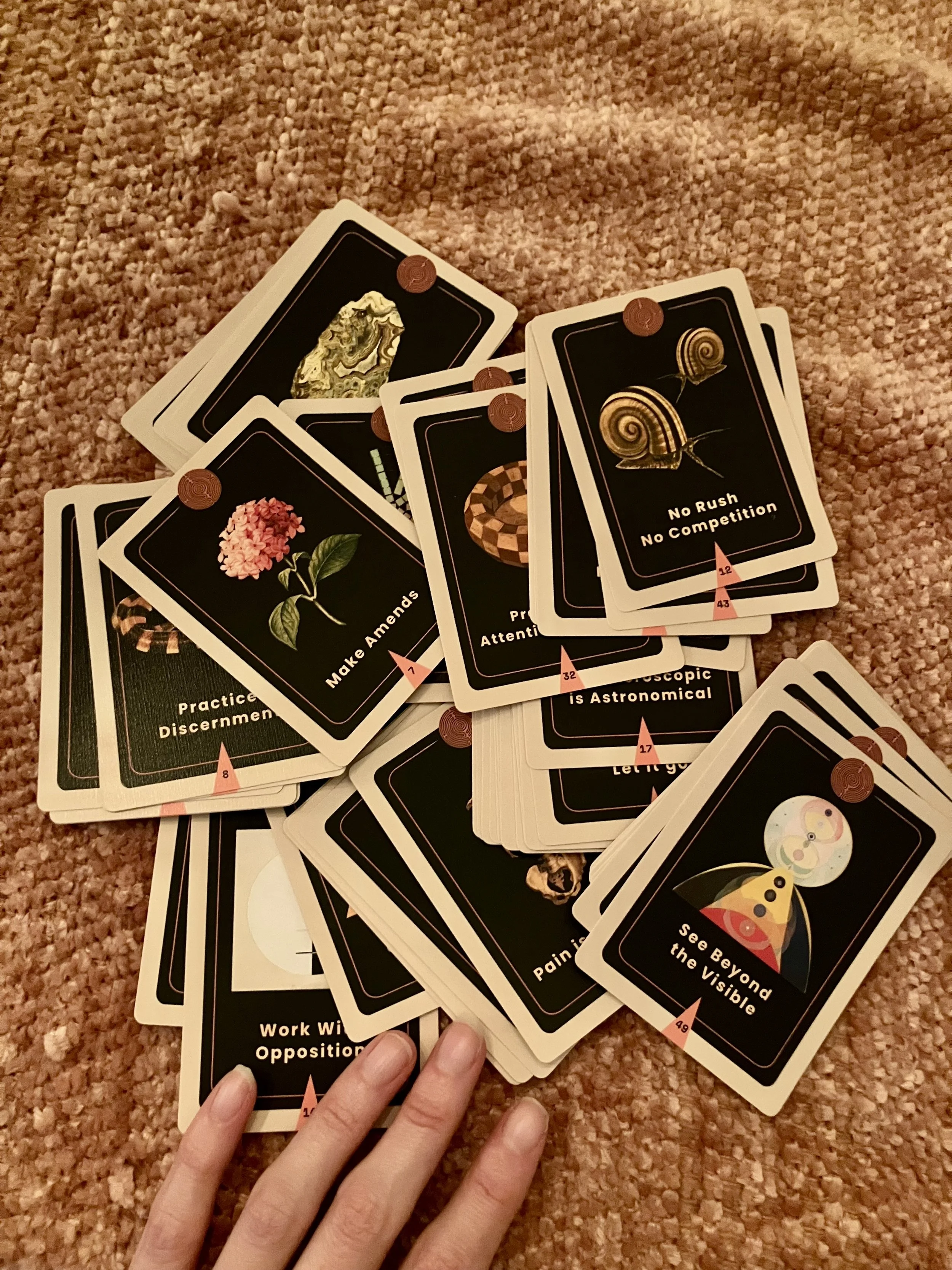 FullSizeRender.jpeg (Copy)