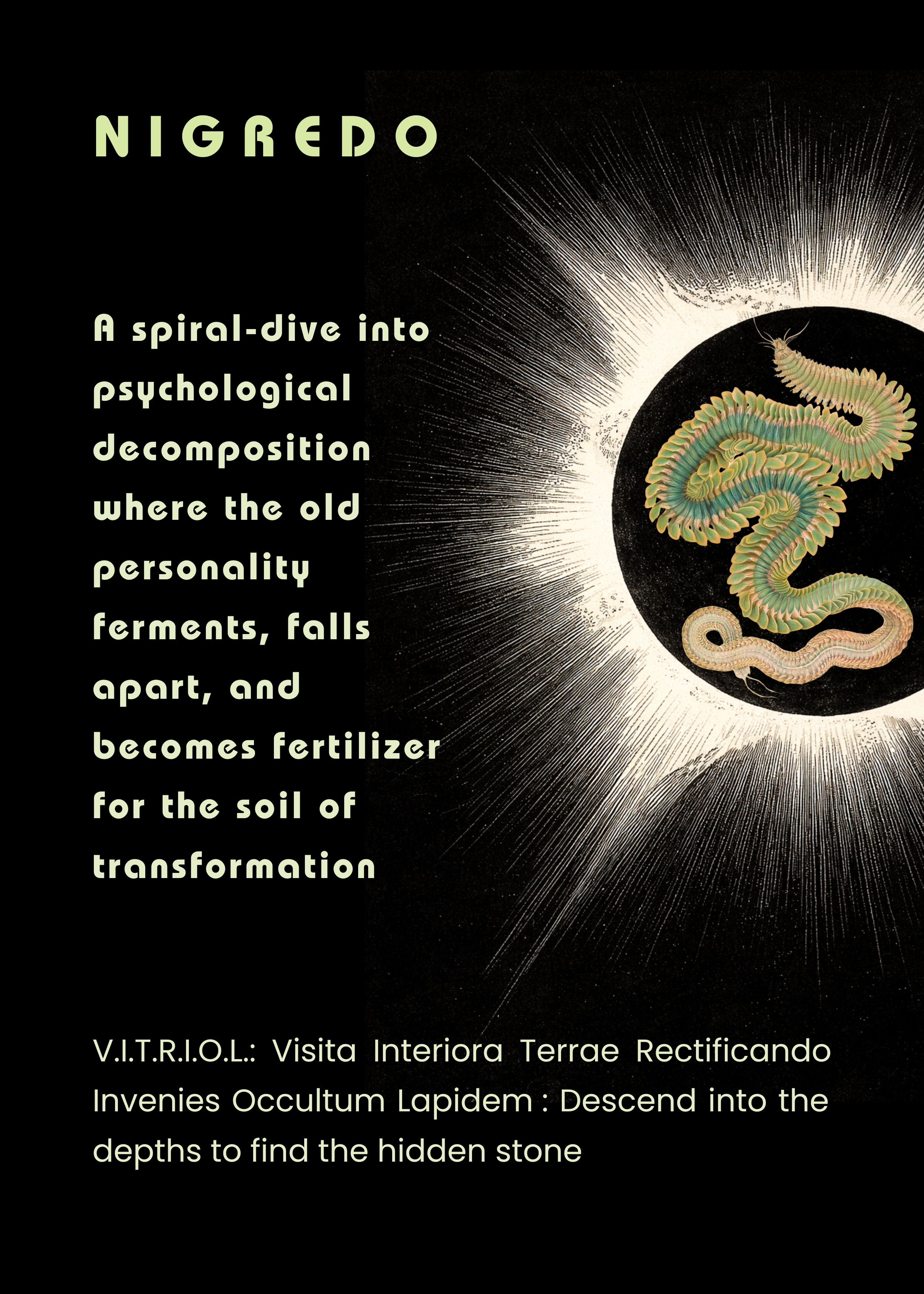 No Holds Aesthetics Robin Richardson 