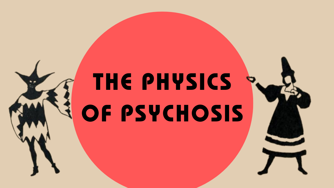 THE PHYSICS OF PSYCHOSIS 