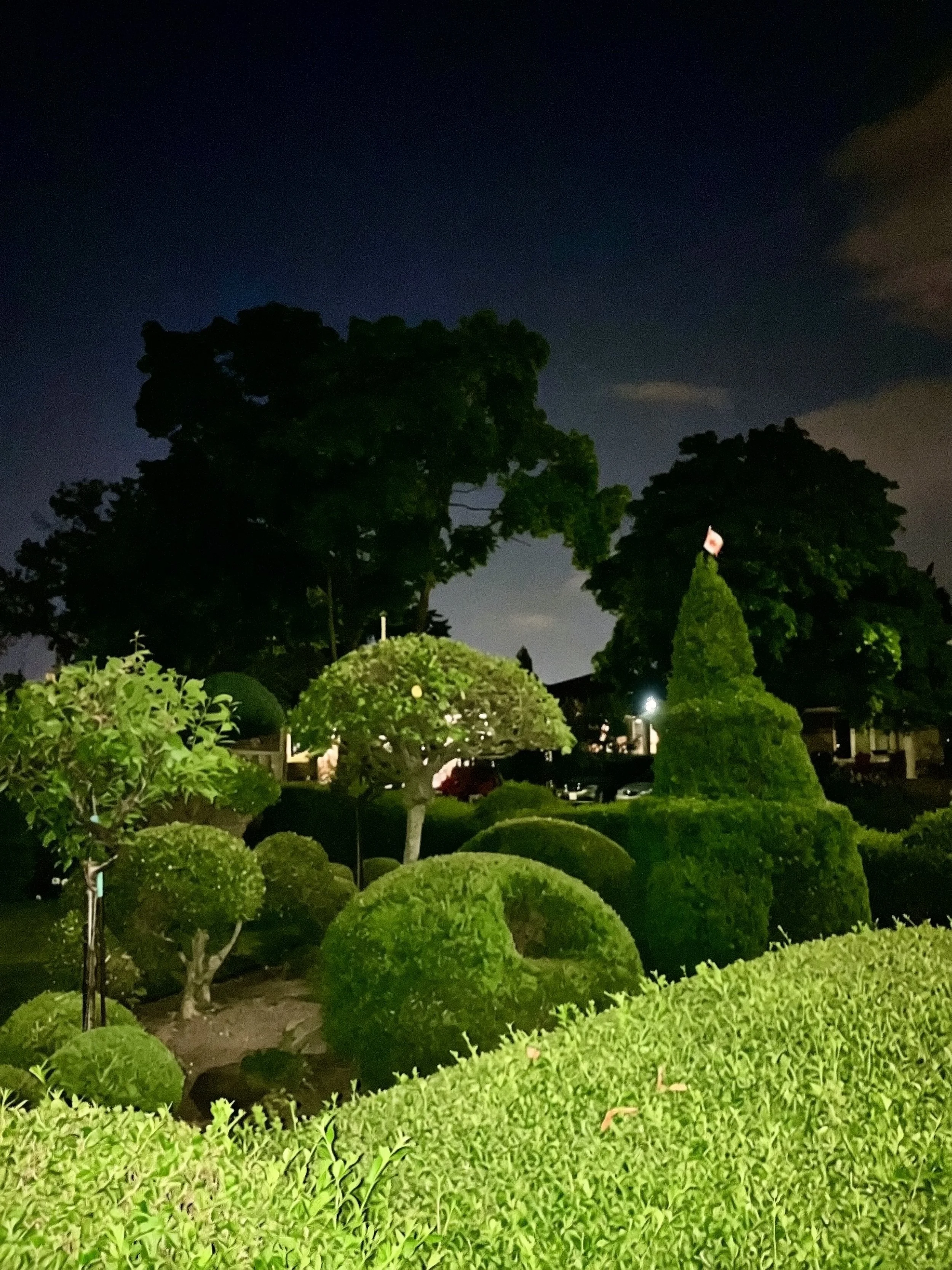 Liminal Suburbia 
