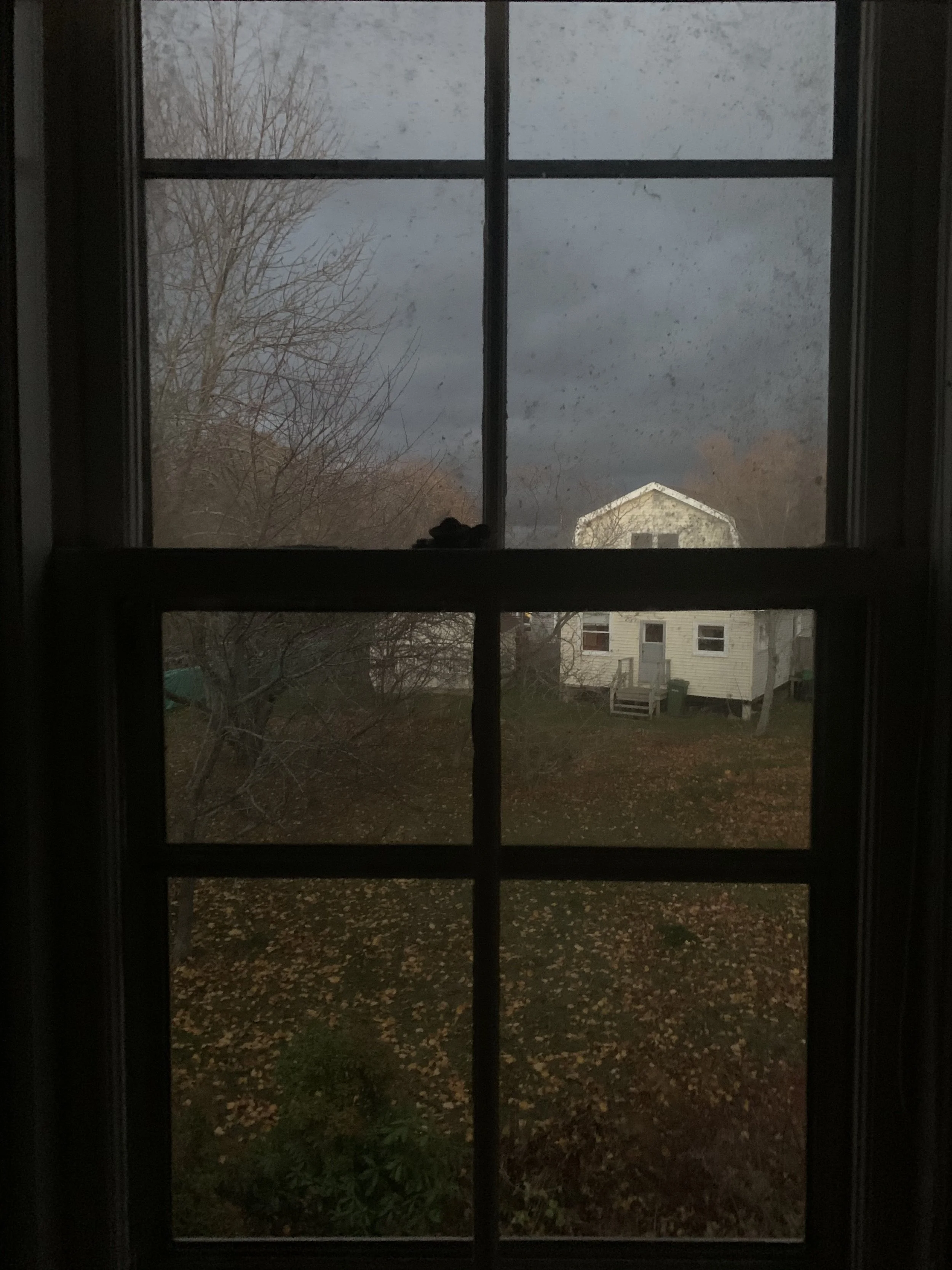 IMG_1961.jpeg