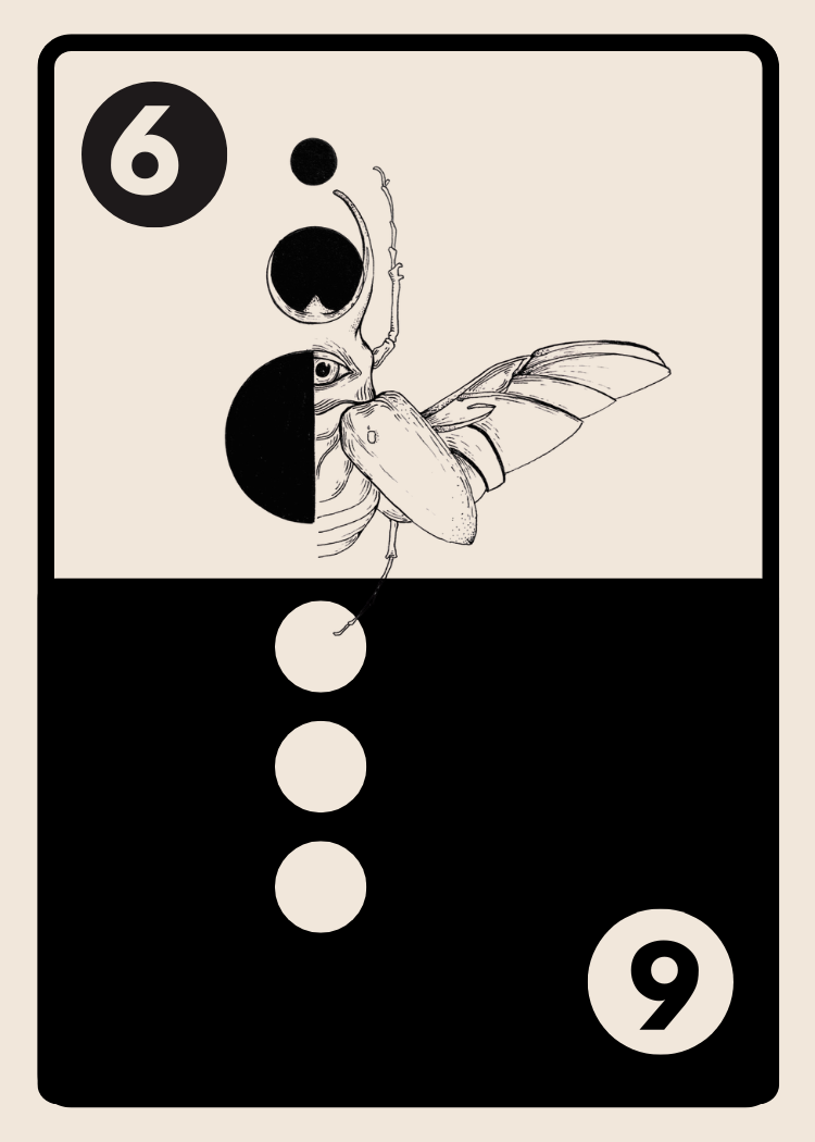 21.png