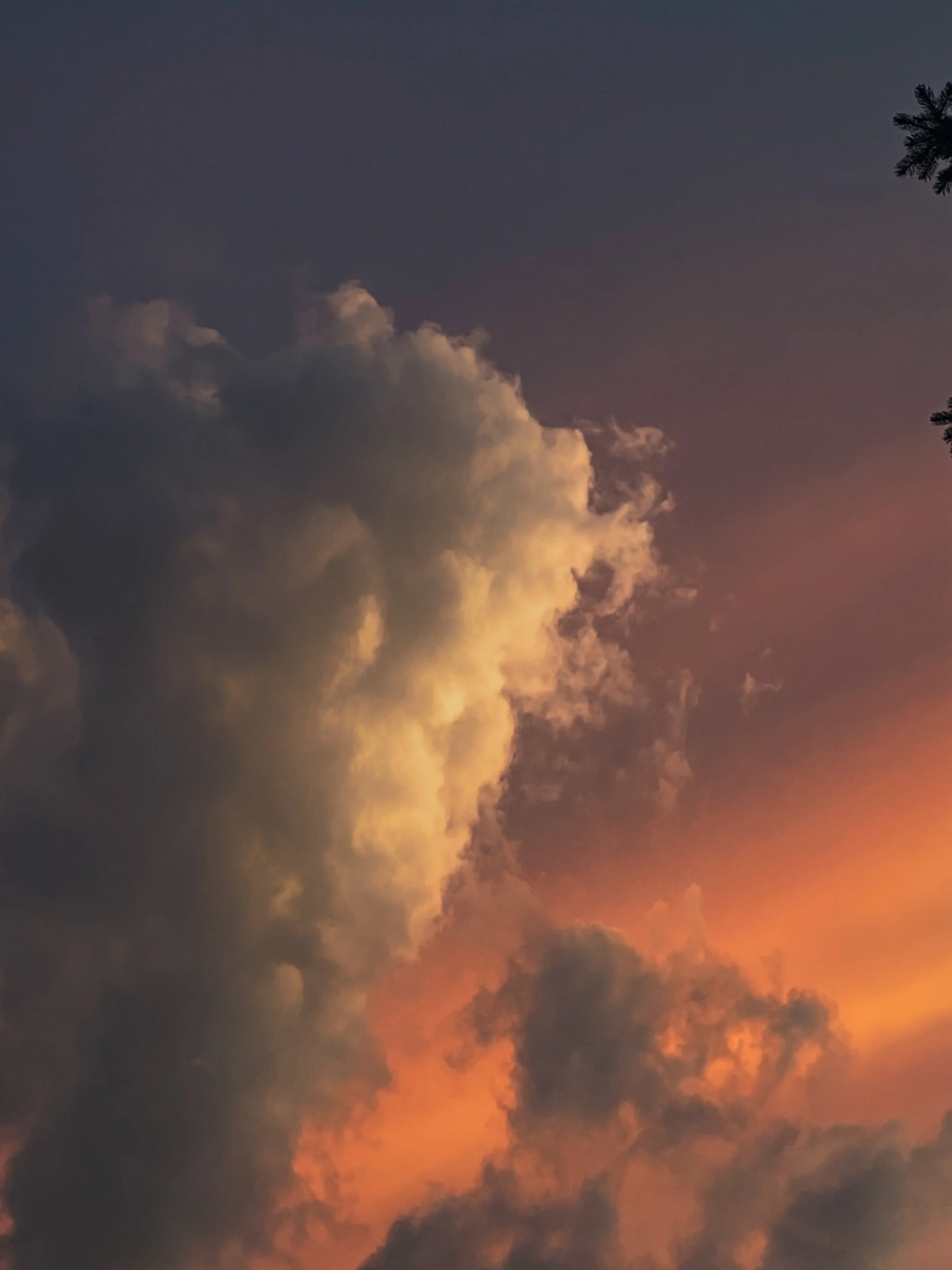 Night Walks In Liminal Suburbia Photography by Robin Richardson 