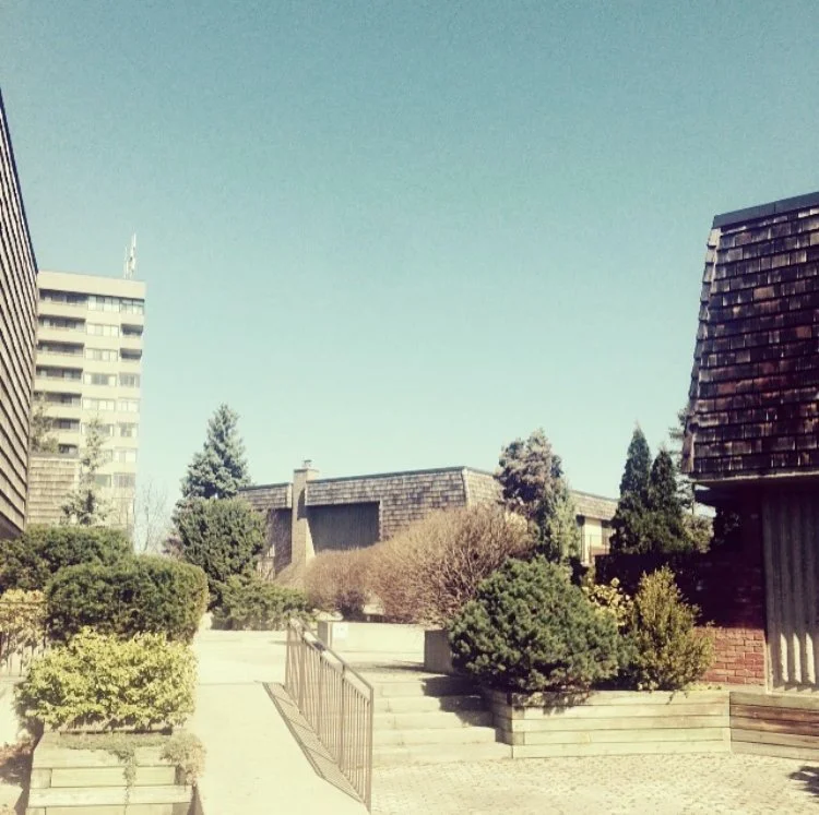 Day Walks in Liminal Suburbia by Robin Richardson