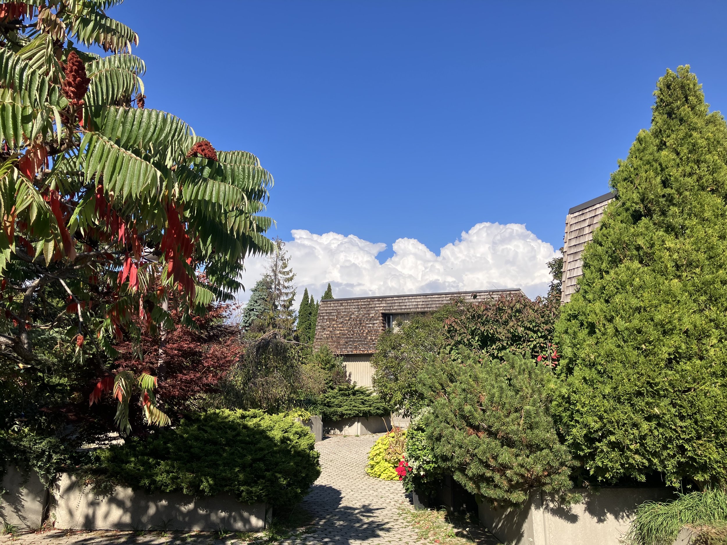 Day Walks in Liminal Suburbia by Robin Richardson